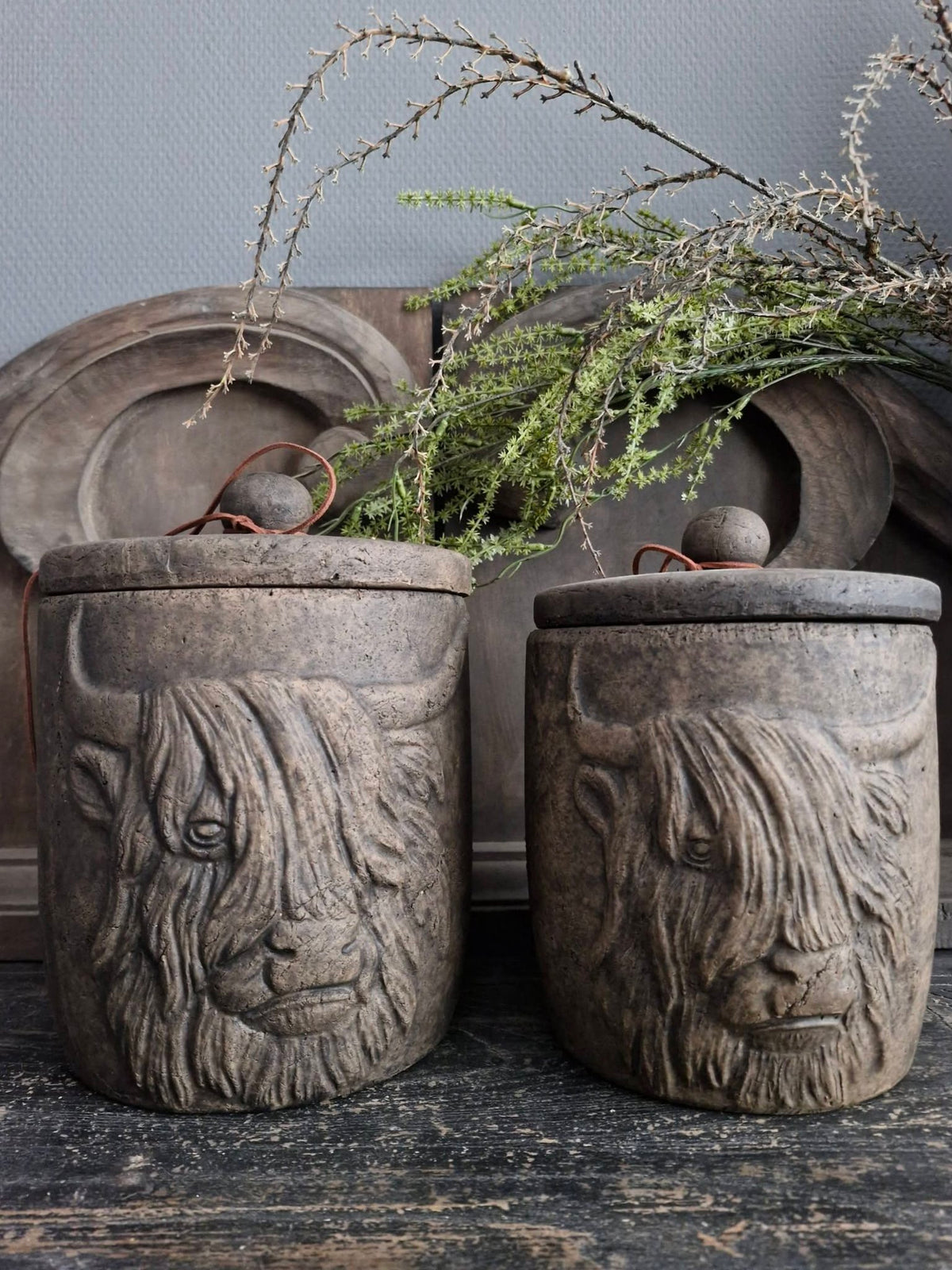 Brynxz. Pot en top. Scotty. Majestic Brown