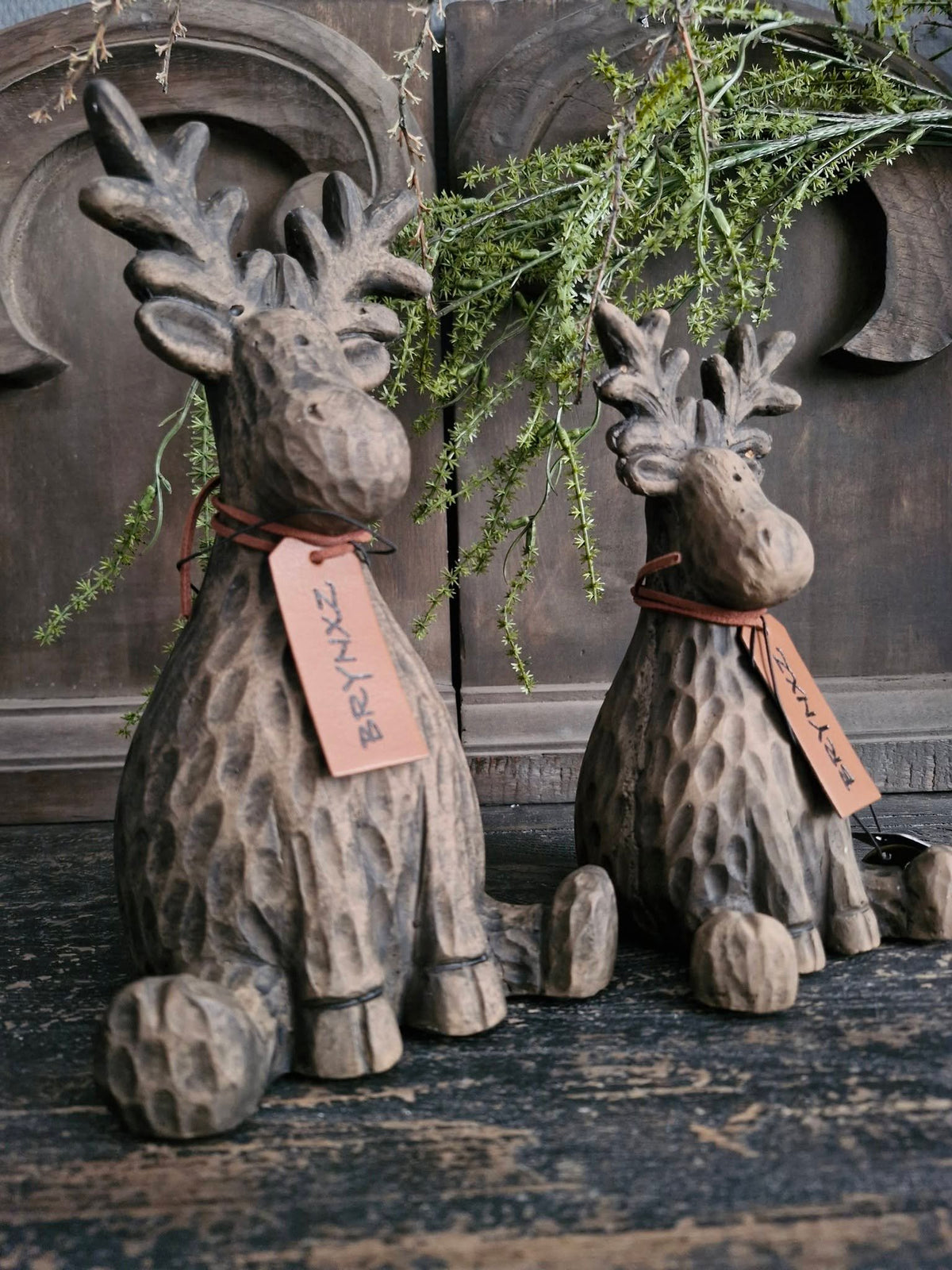 Brynxz. Sitting Rudolph Himself Majestic Brown. Groot
