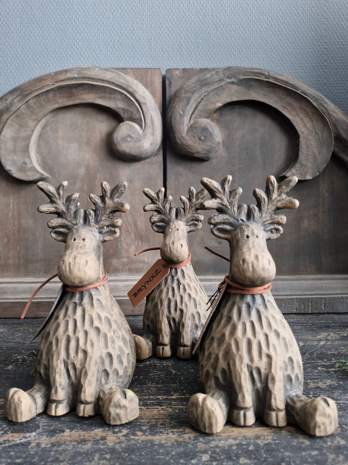 Brynxz. Sitting Rudolph himself. Majestic brown