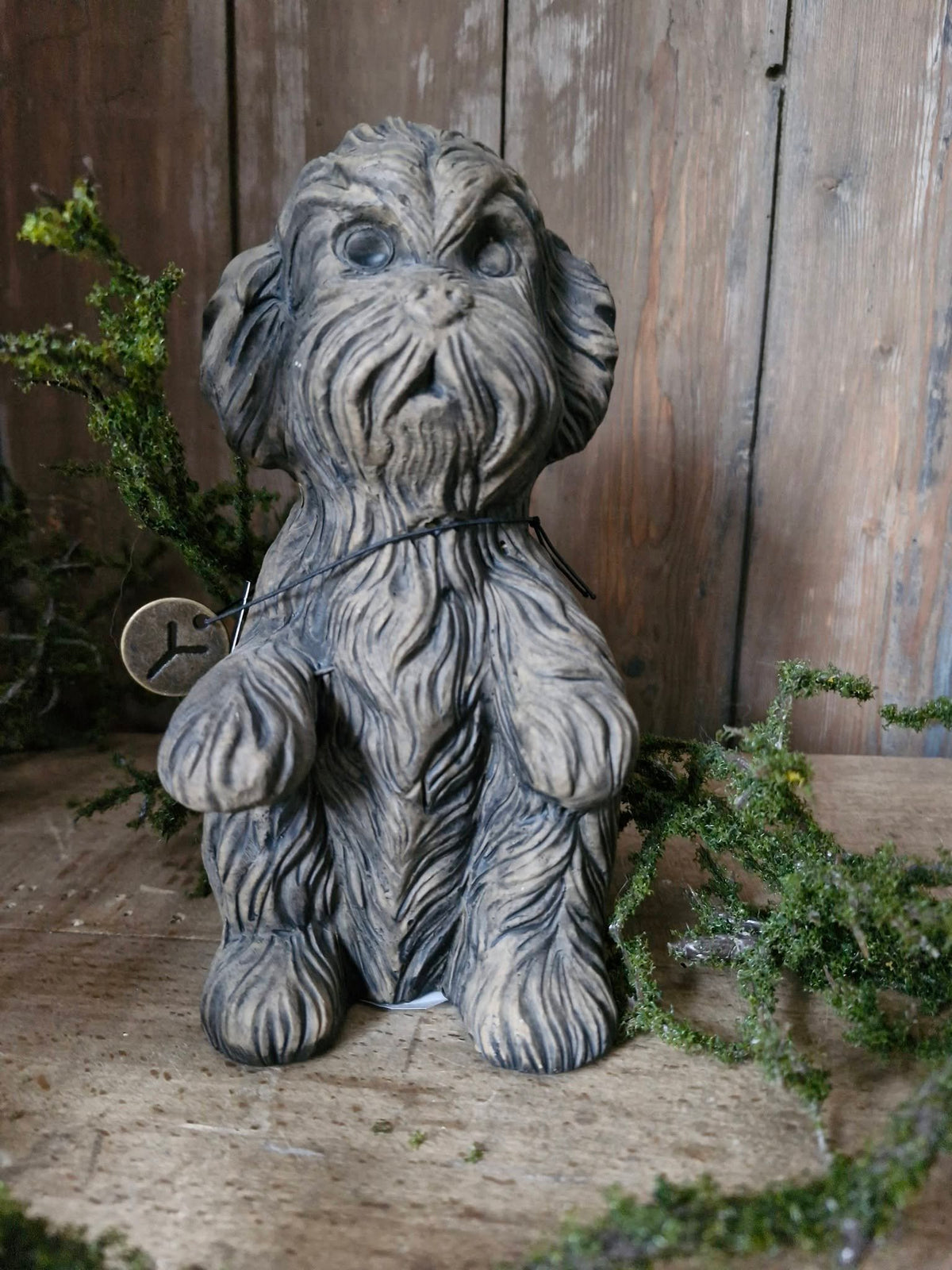 Brynxz. Sitting dog cute. Majestic Brown