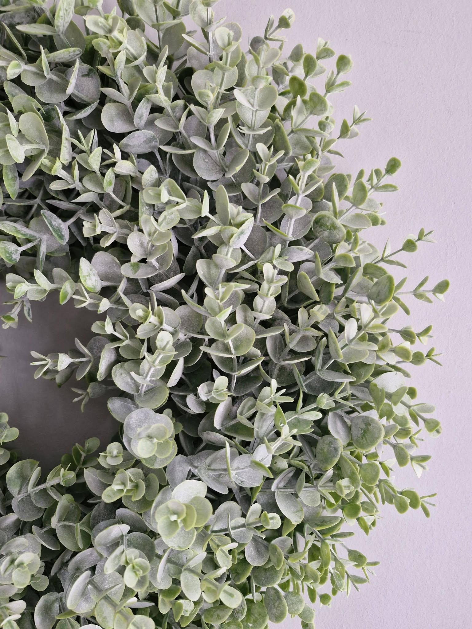 Brynxz Wreath eucalyptus. Krans