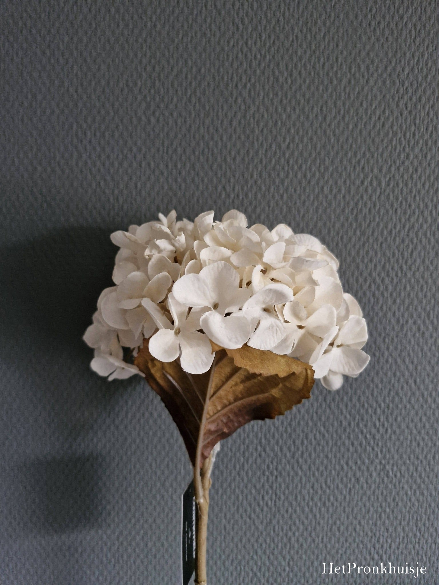 Countryfield. Hortensia wit