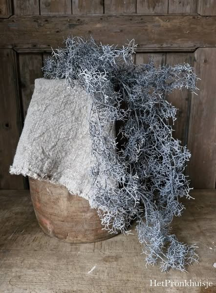 Countryfield. Tillandsia grijs