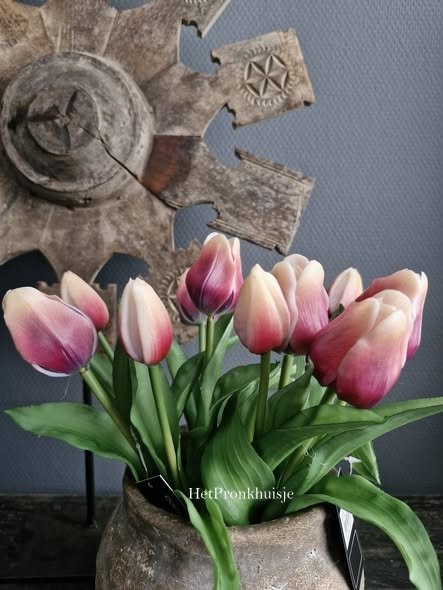 Countryfield. Tulpen boeket. Donker fuchsia