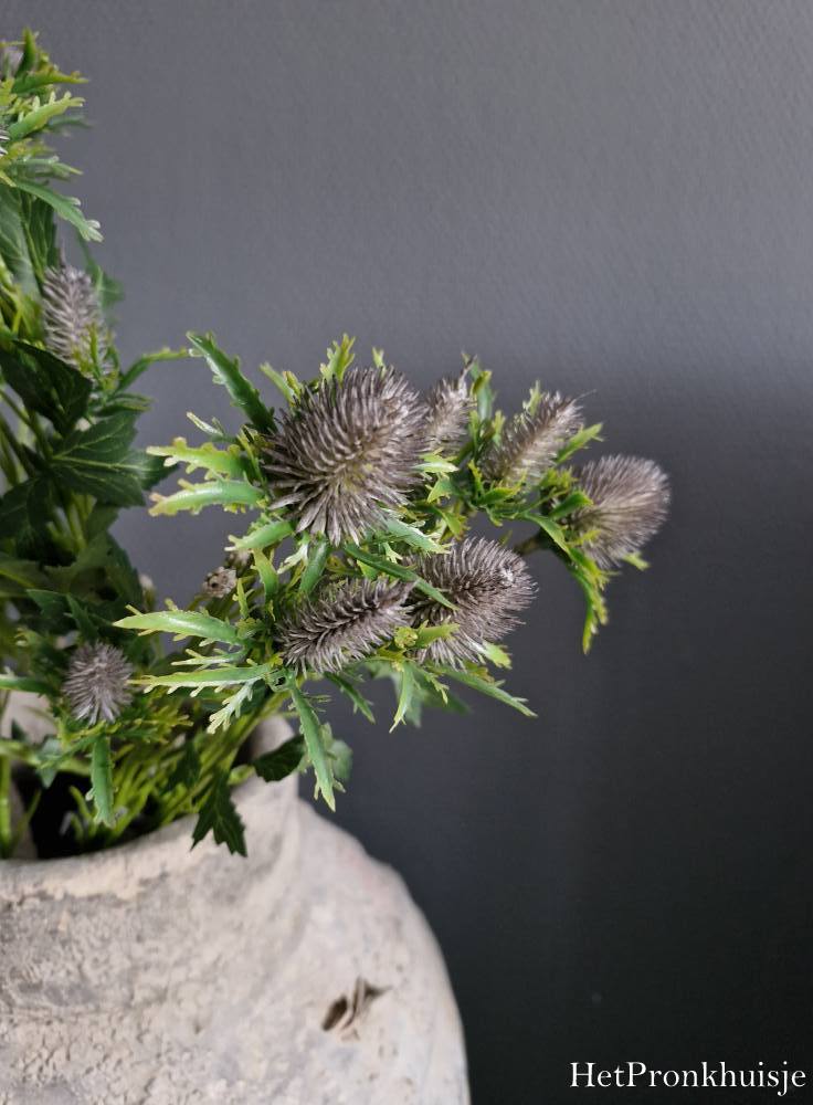 Distel tak. Paars
