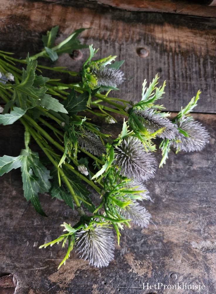 Distel tak. Paars