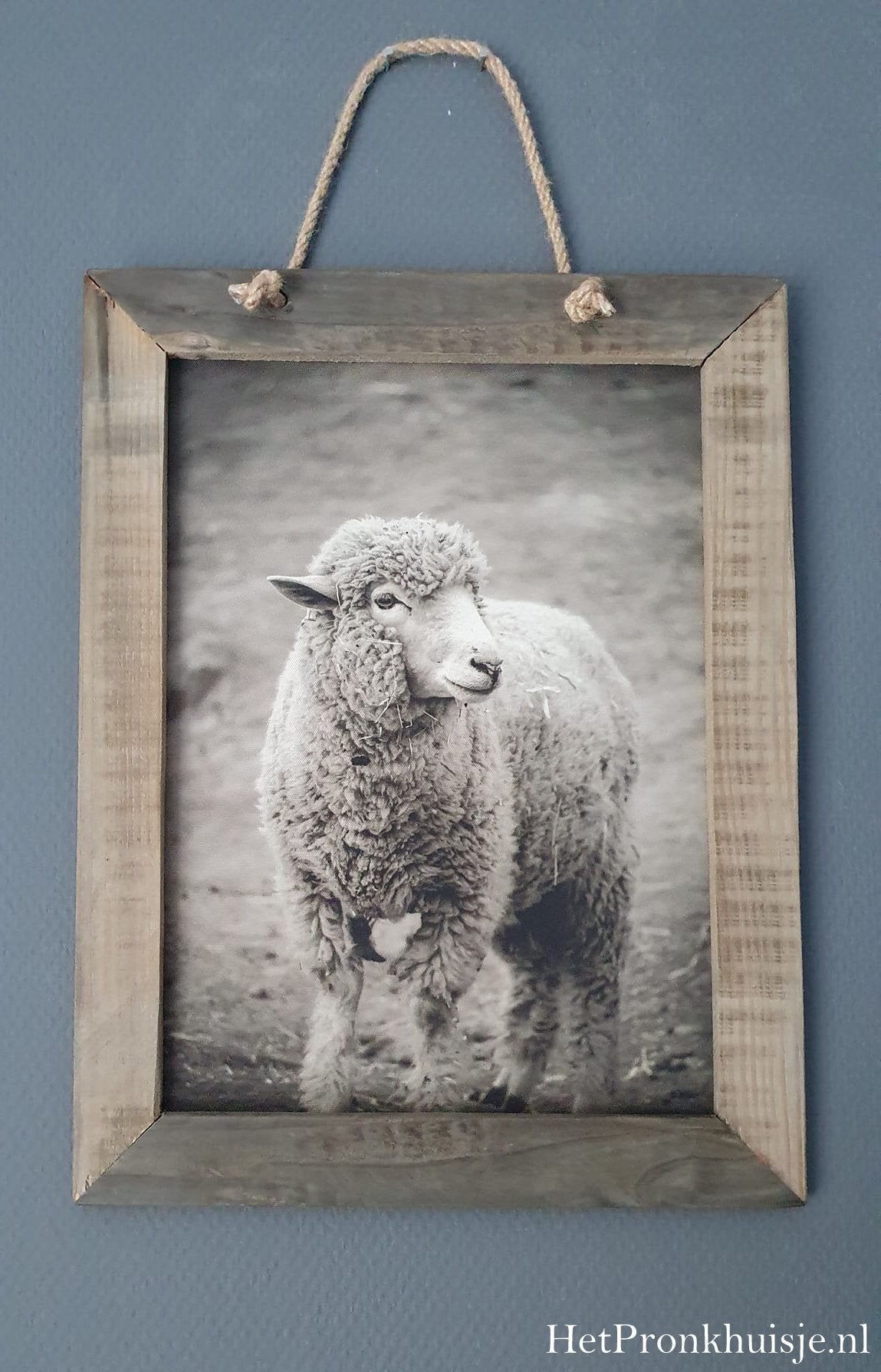 Doek met lijst. Schaap. 44x35