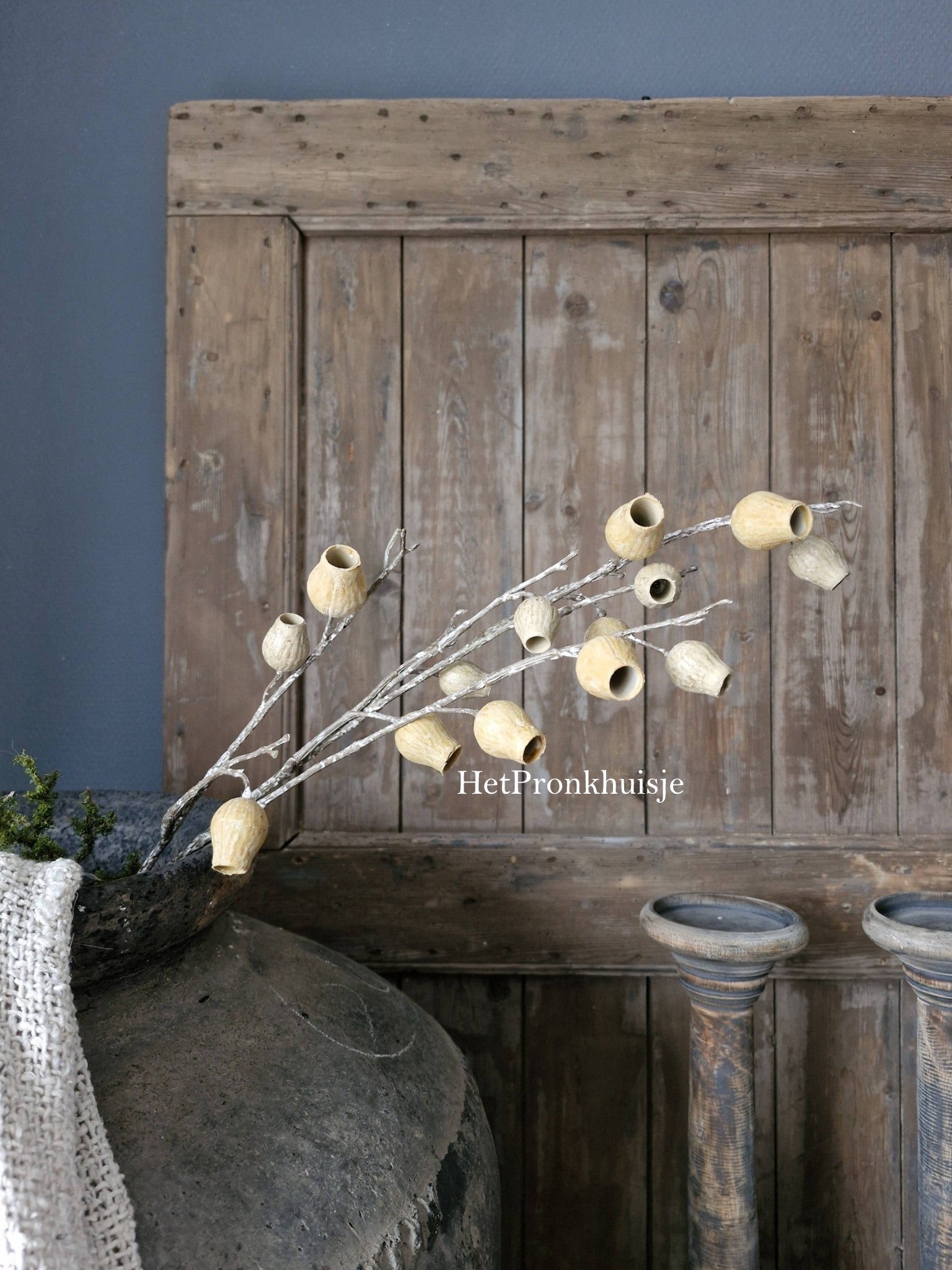 Eucalyptus Bells