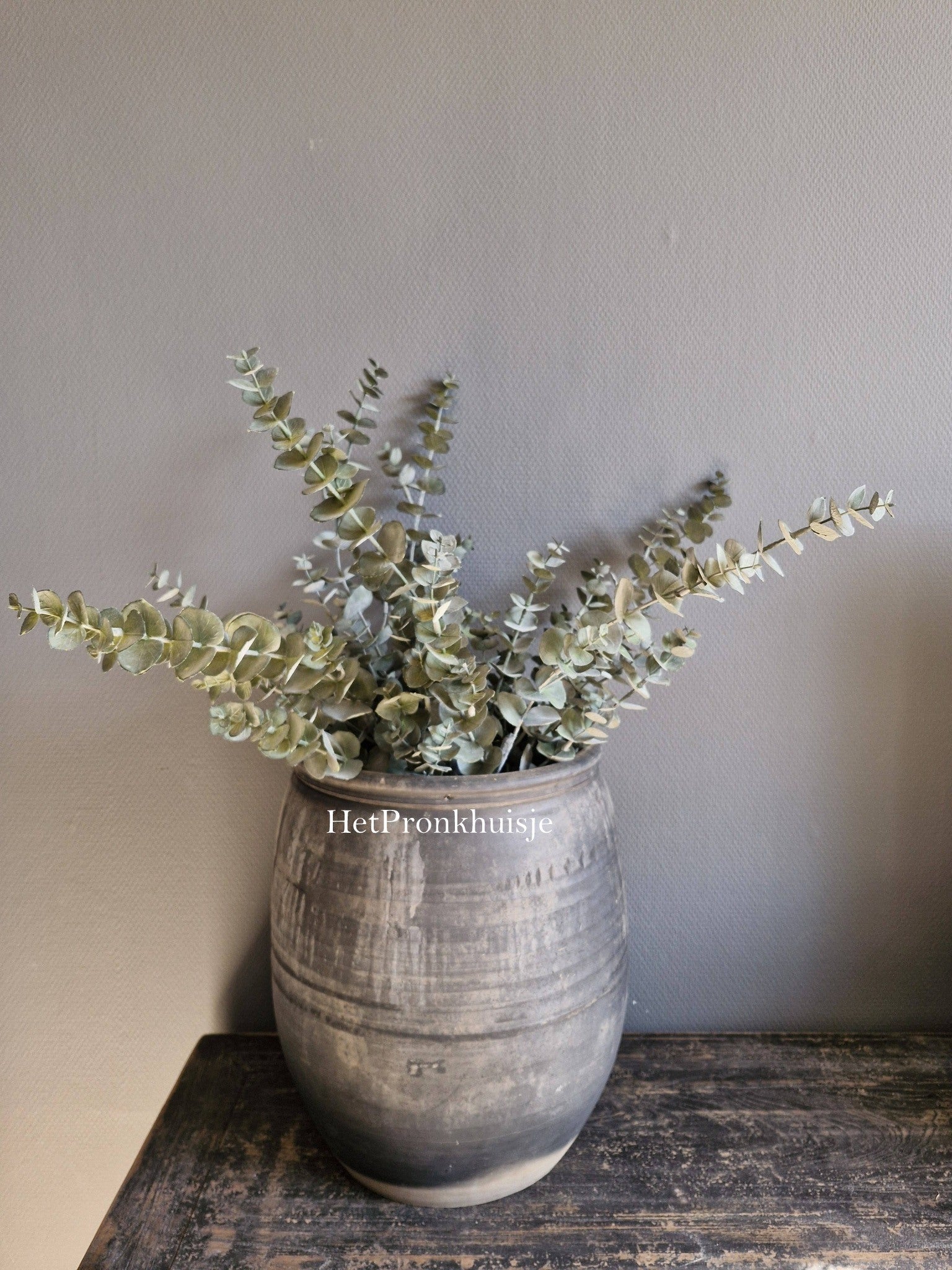 Eucalyptus tak