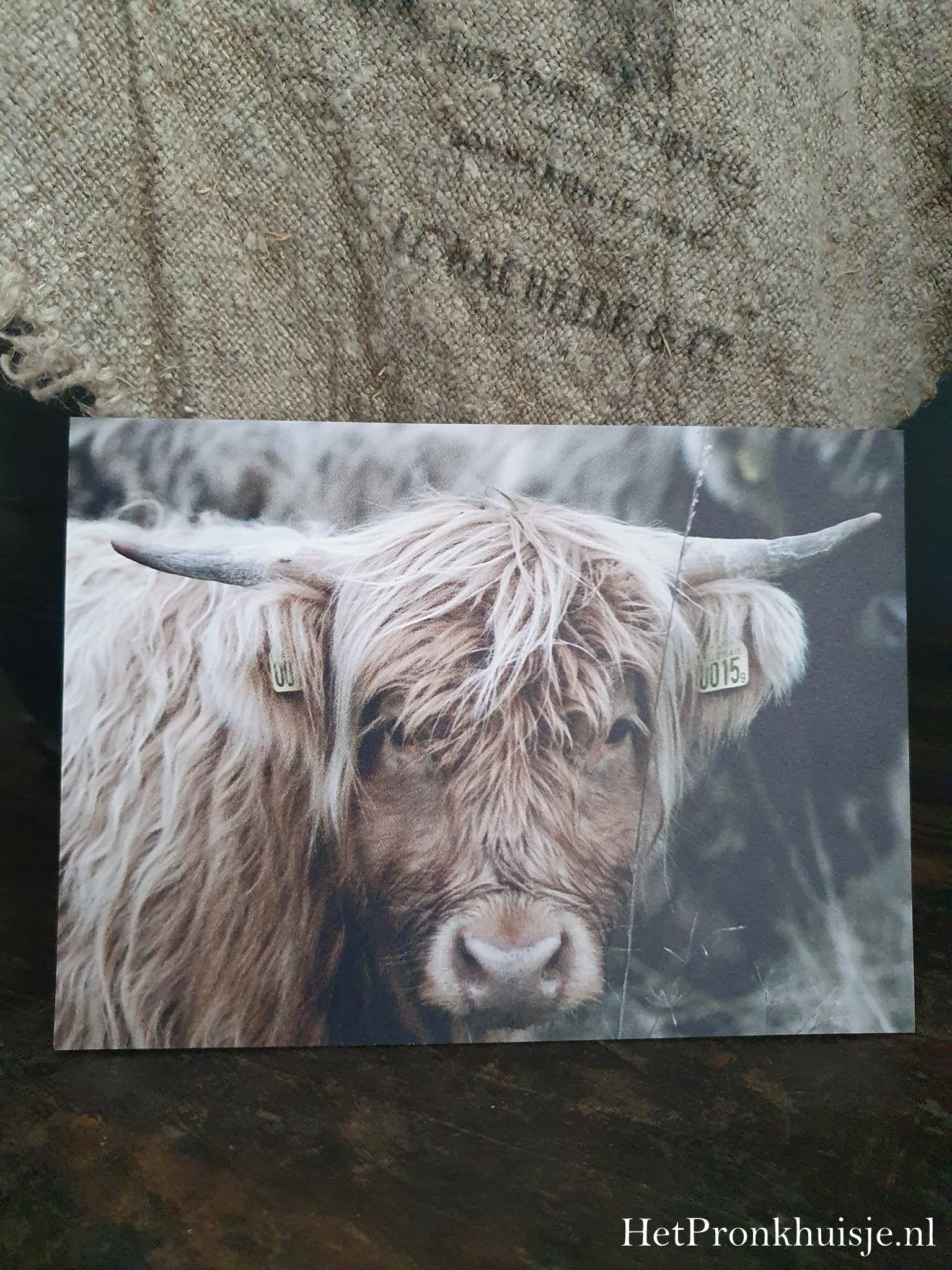 Fotokaart. Hooglander bruin