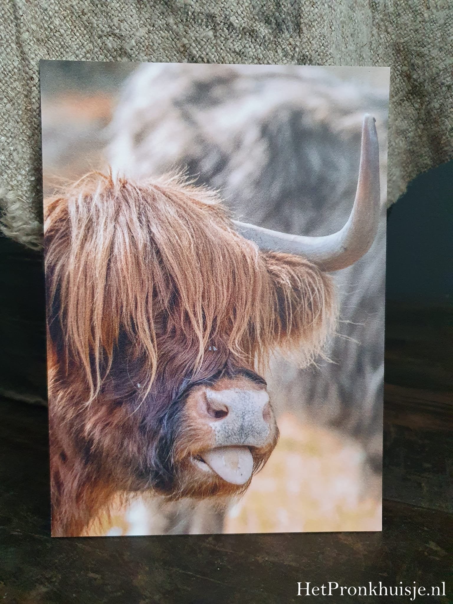 Fotokaart. Hooglander tong