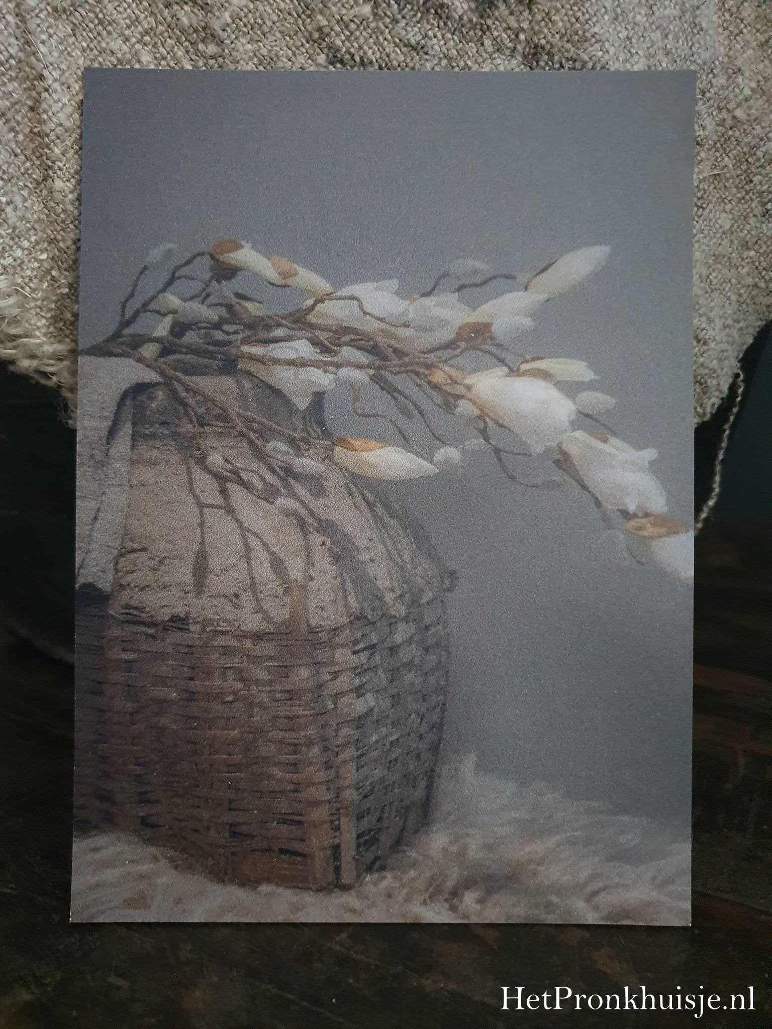 Fotokaart. Magnolia in leemmand