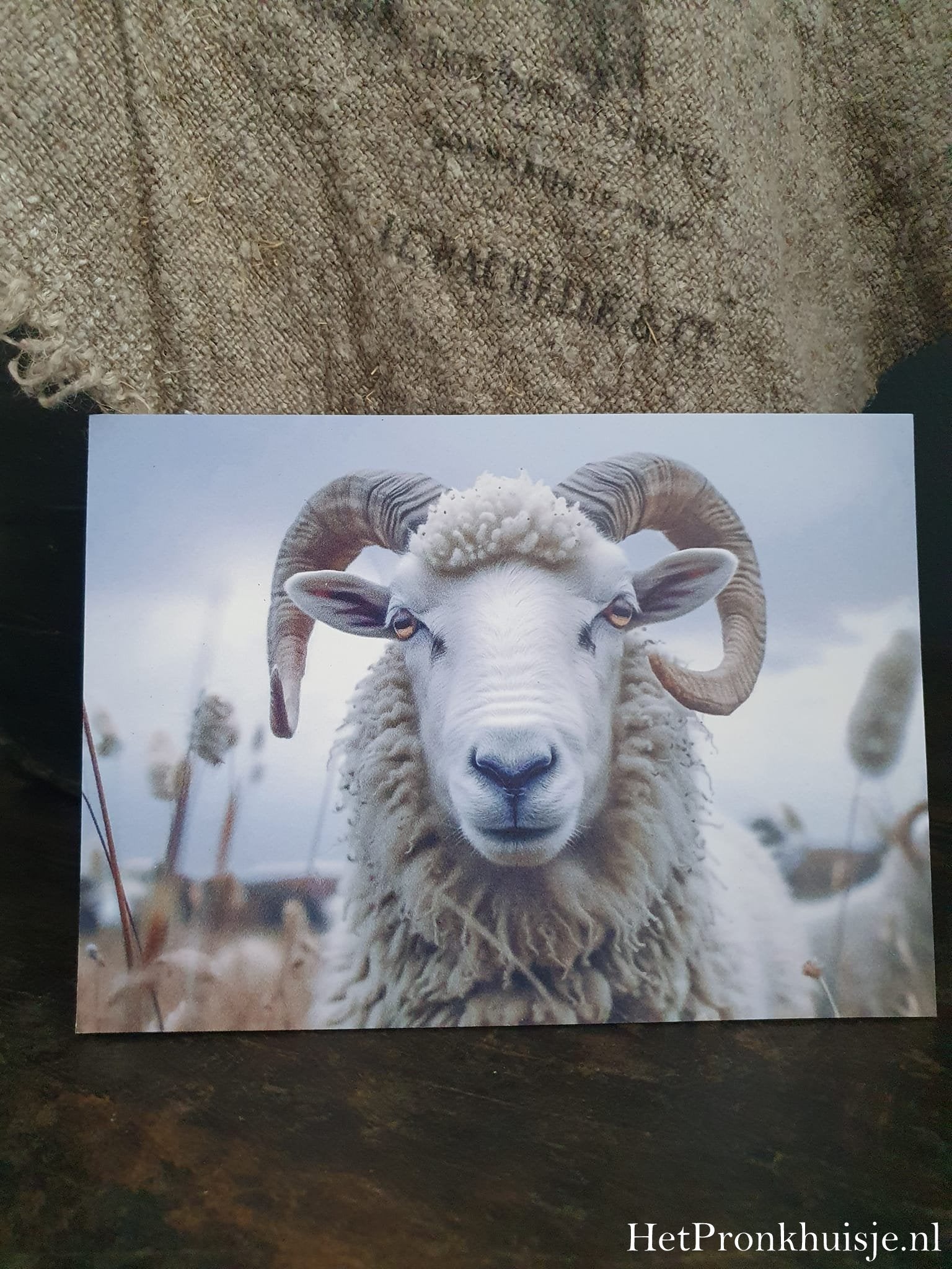 Fotokaart. Ram