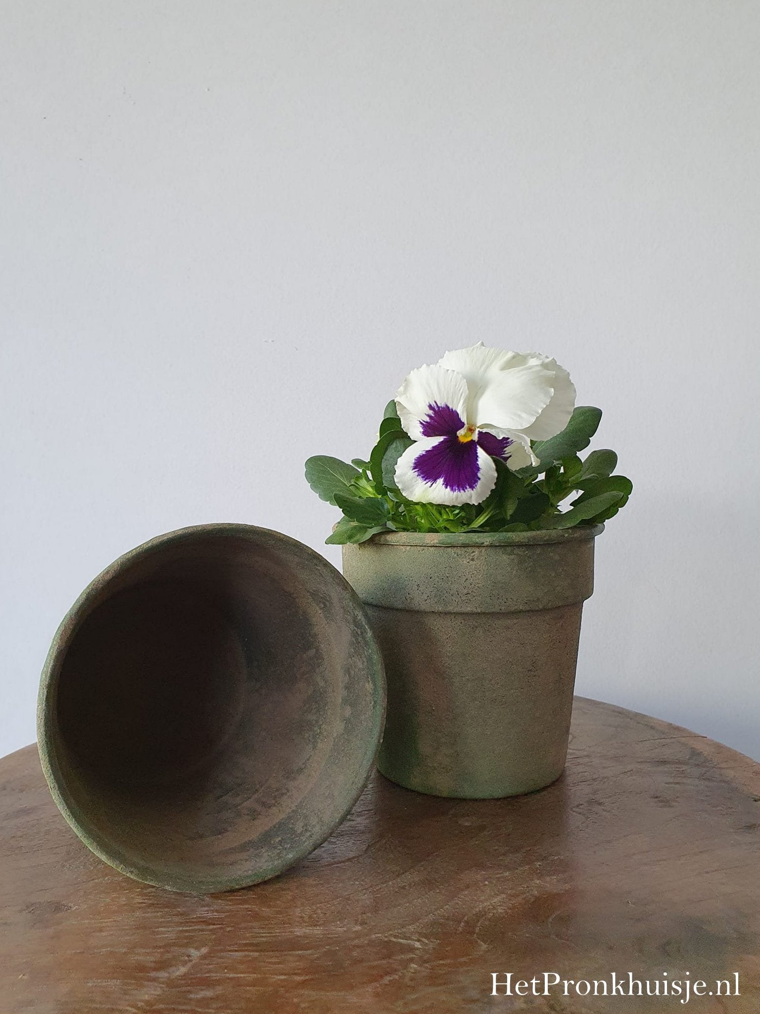 Groen potje in oude look