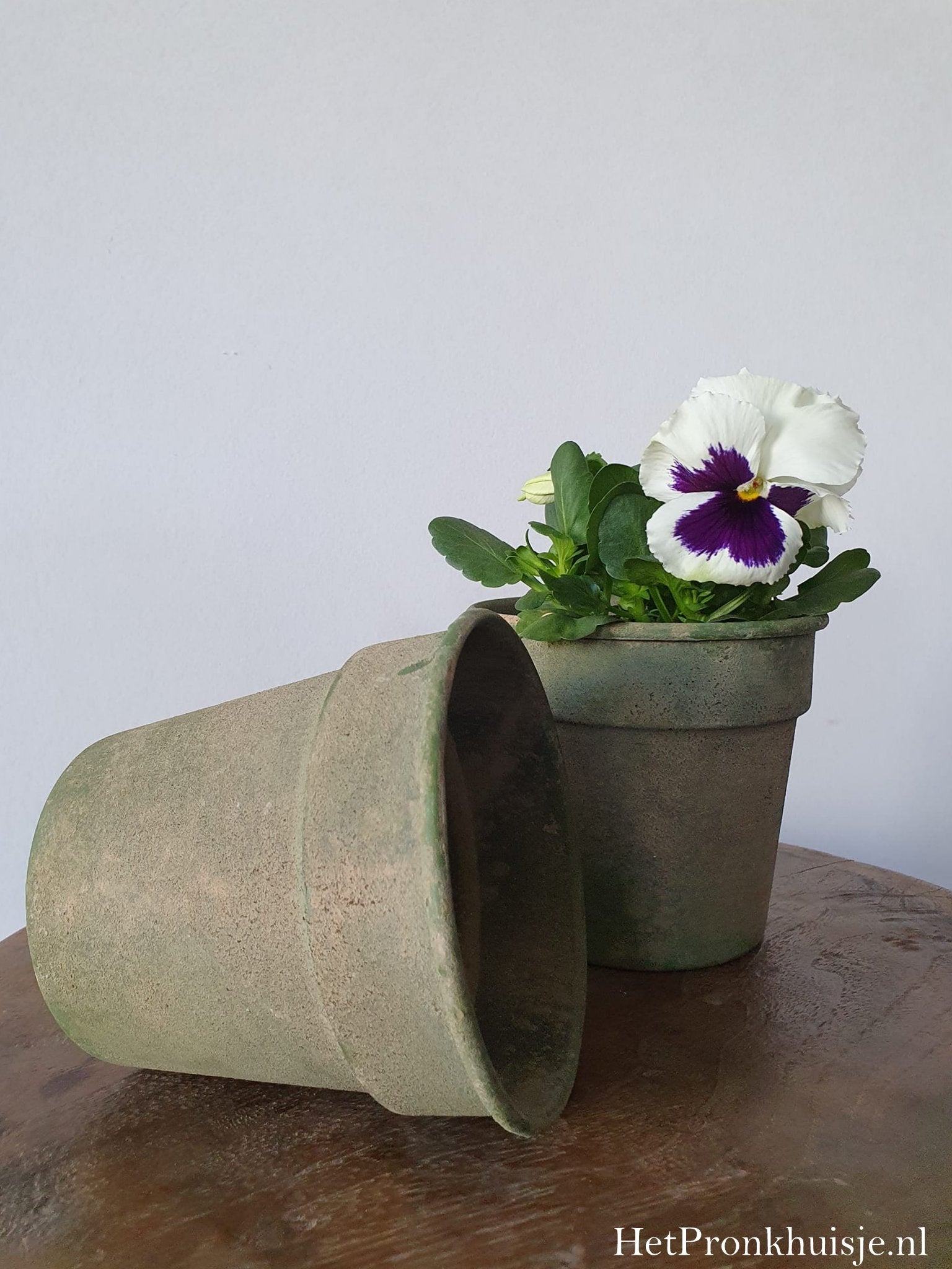 Groen potje in oude look