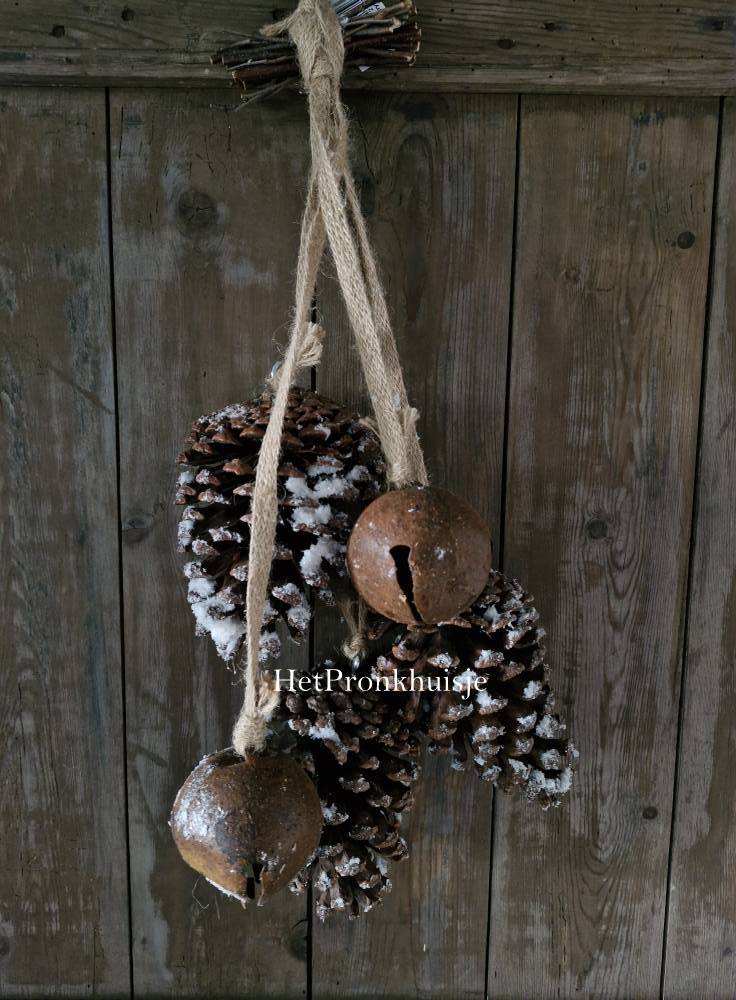Hanger met 3 dennenappels en 2 bellen