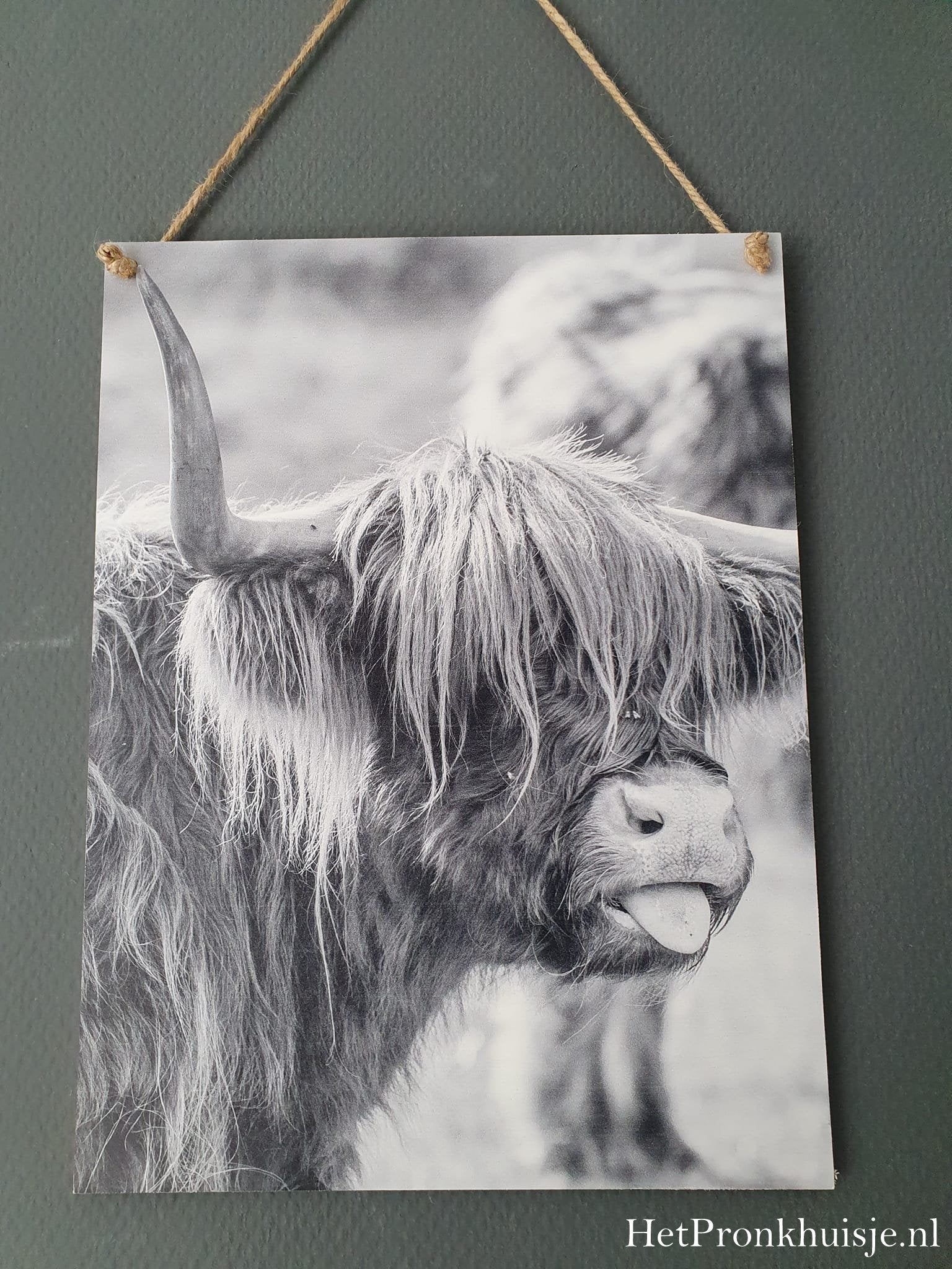Houten wandbord. Hooglander