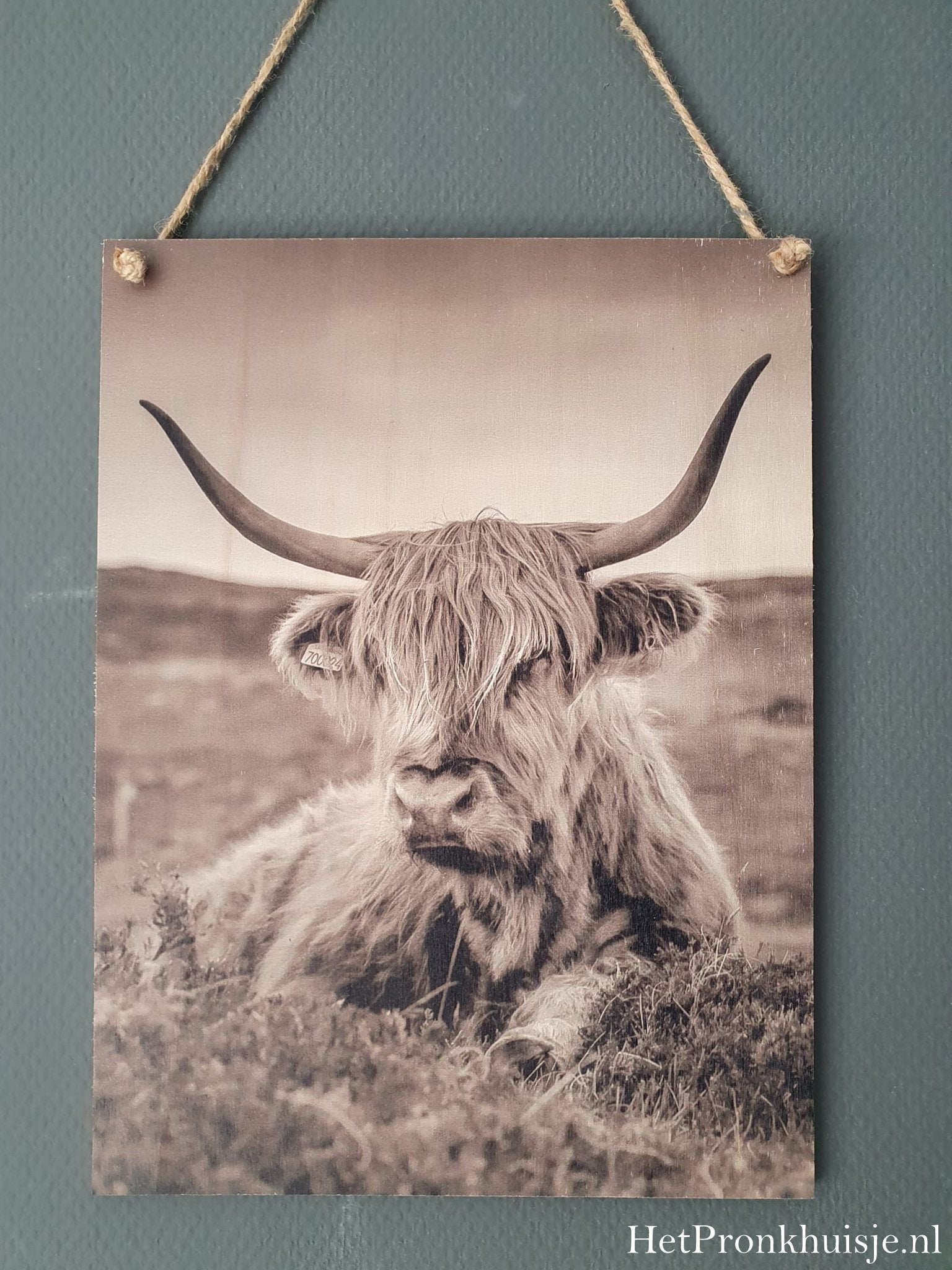 Houten wandbord. hooglander. Sepia