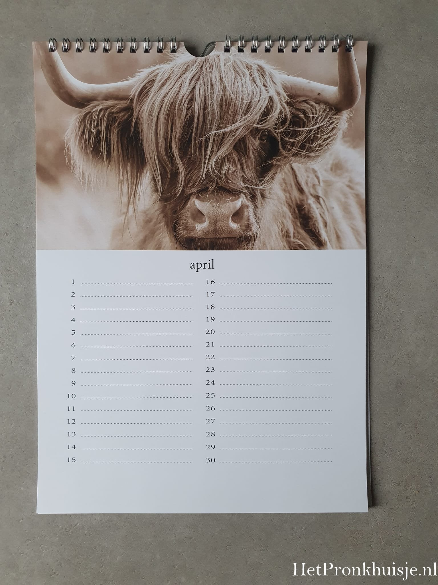 Kalender. Hooglanders sepia