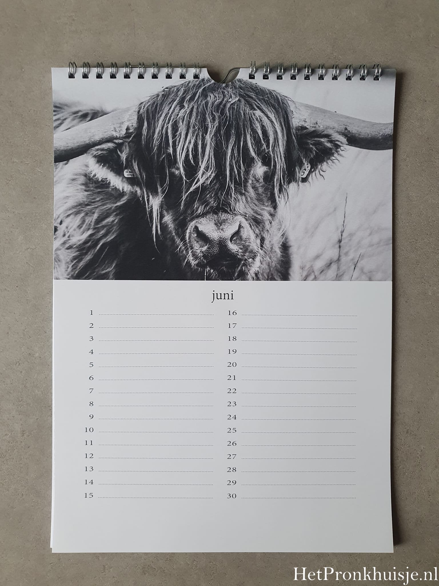 Kalender. Hooglanders zwart wit