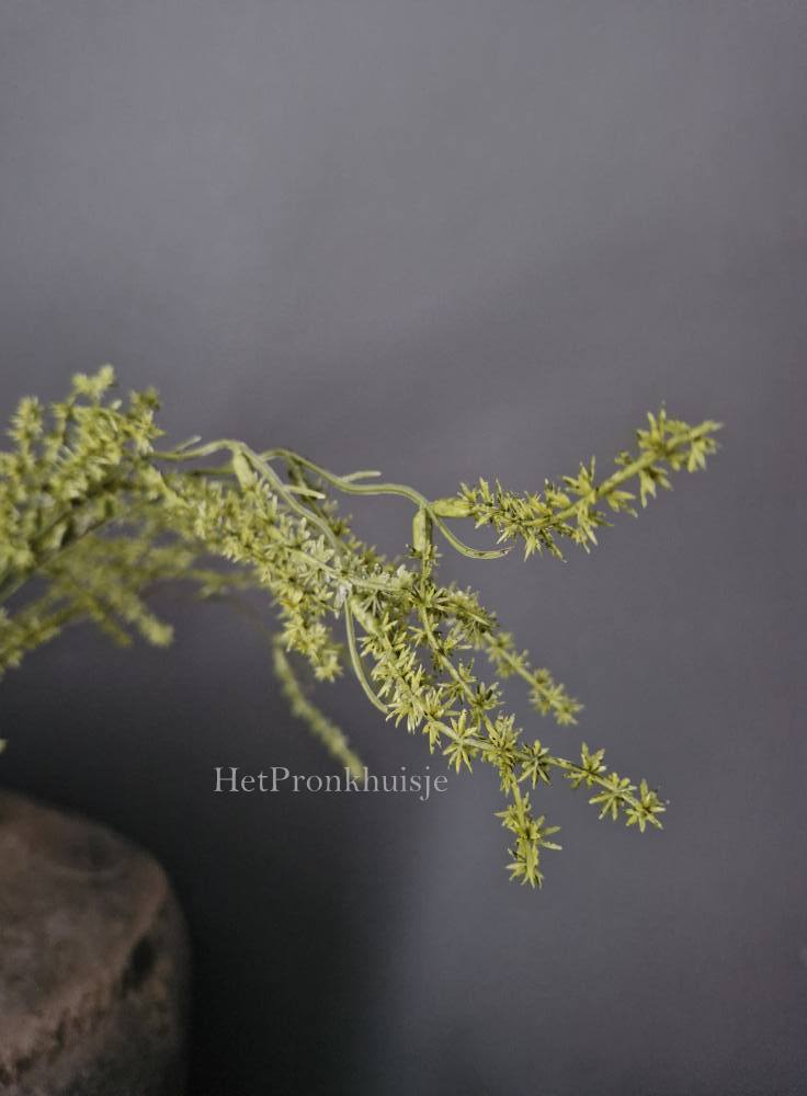 Kunst asparagus tak