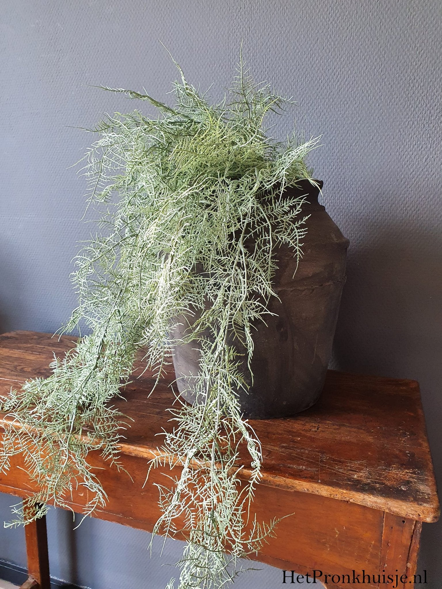 Kunst asparagus.