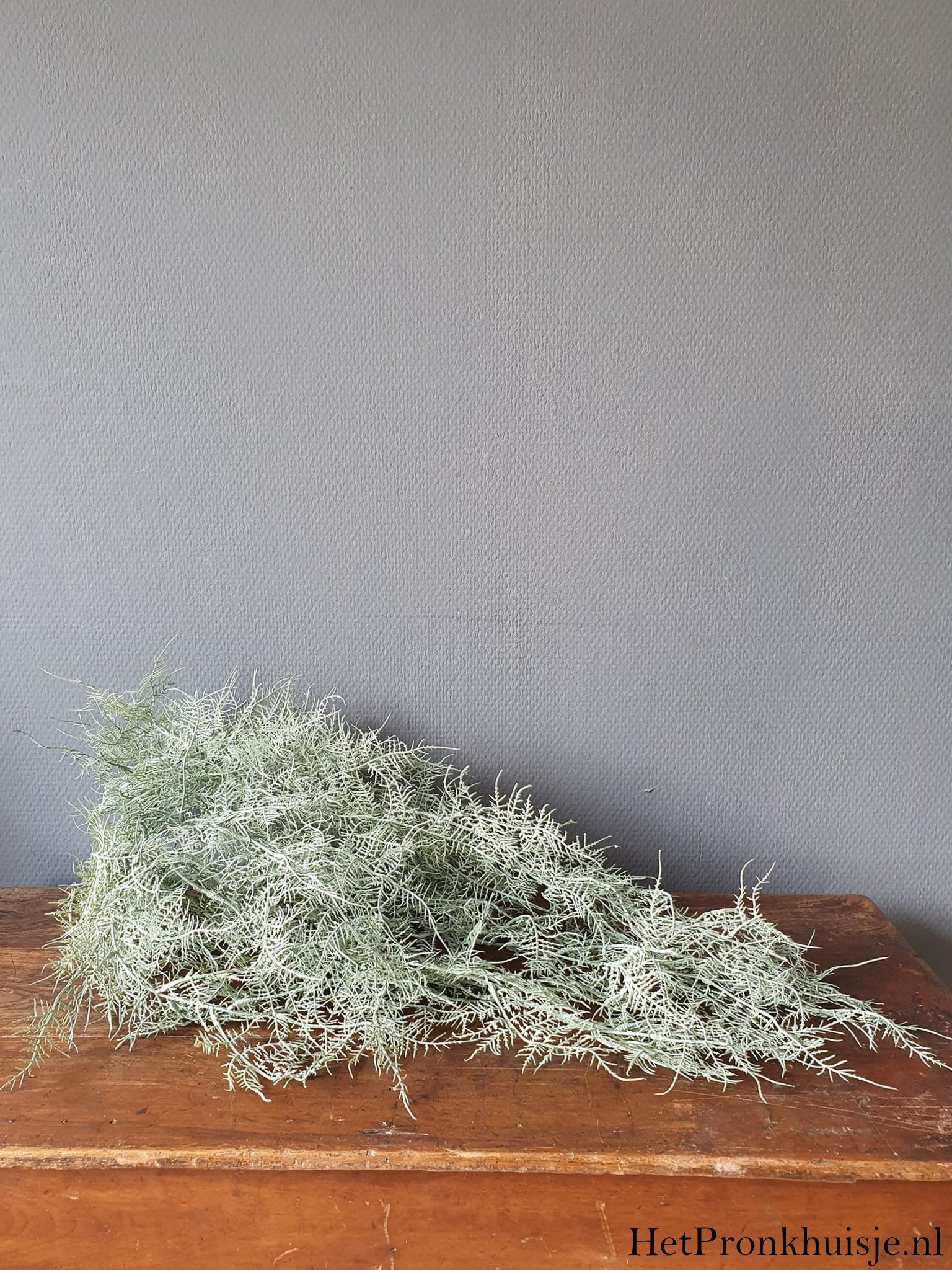 Kunst asparagus.