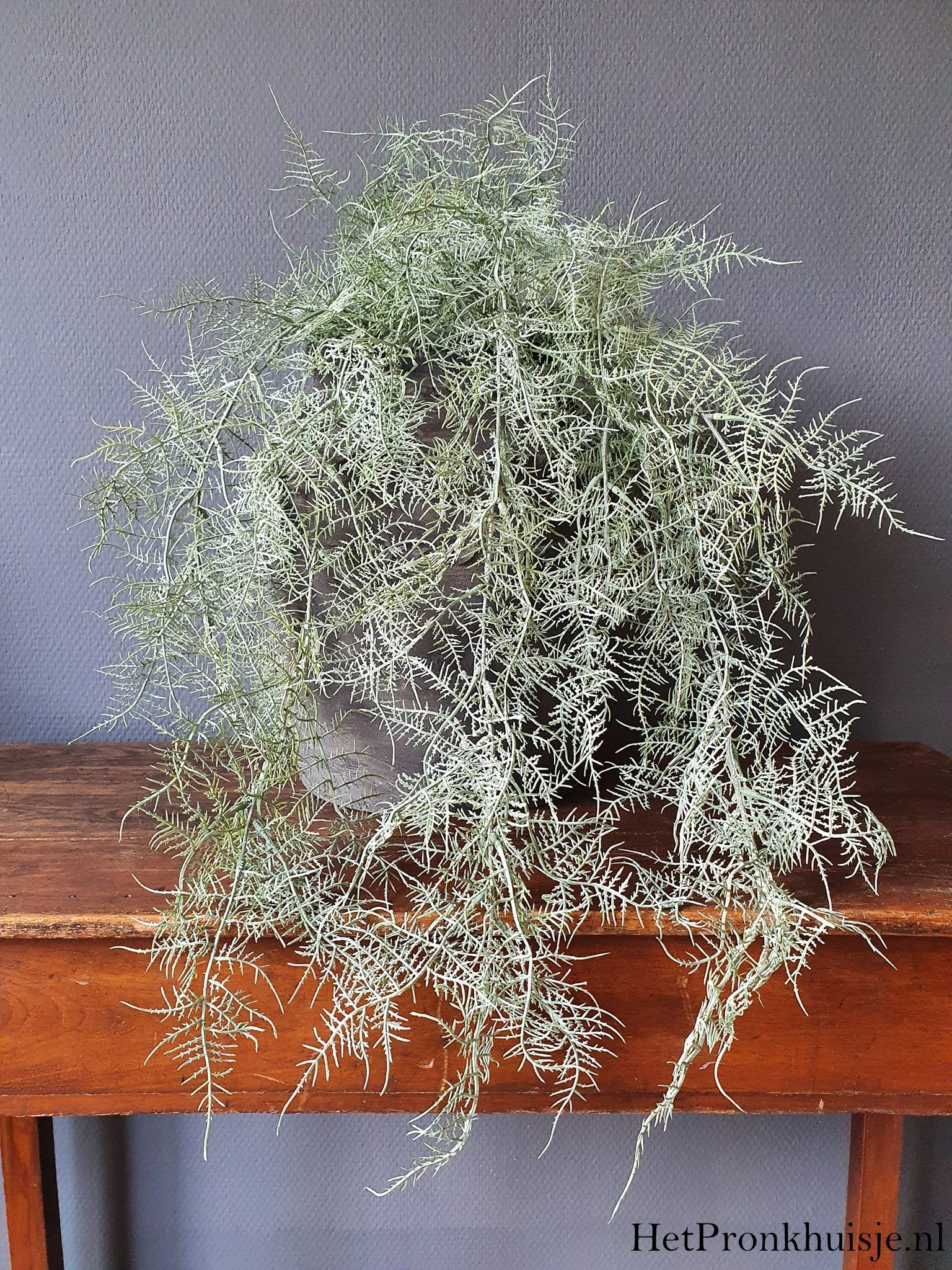 Kunst asparagus.
