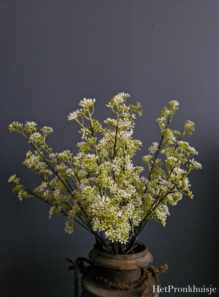 Kunst tak wit. Prunus