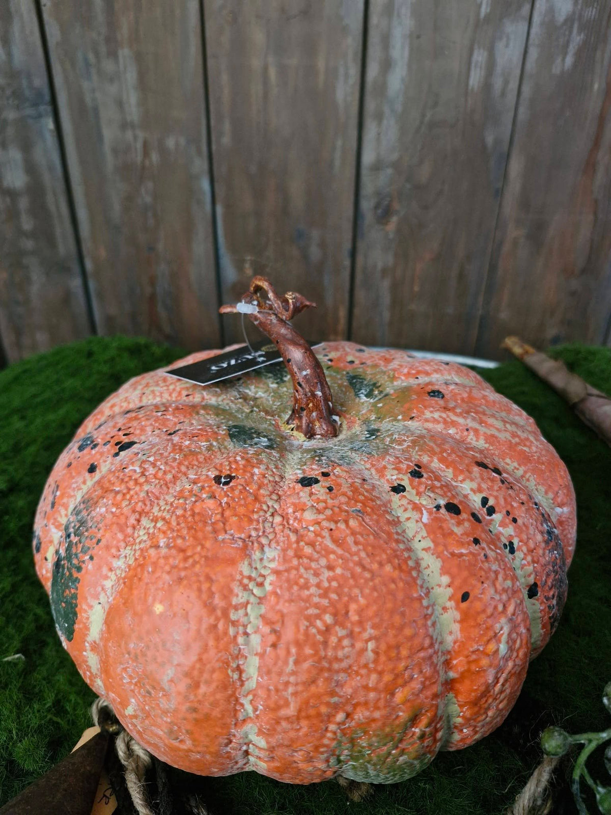 Kunst Pompoen - Kallebas. Autumn