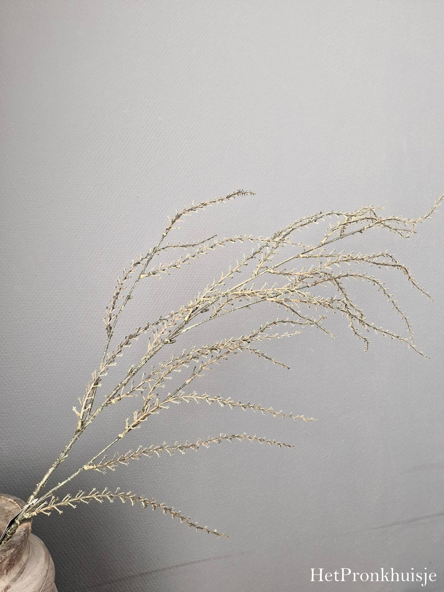 Kunsttak Euphorbia
