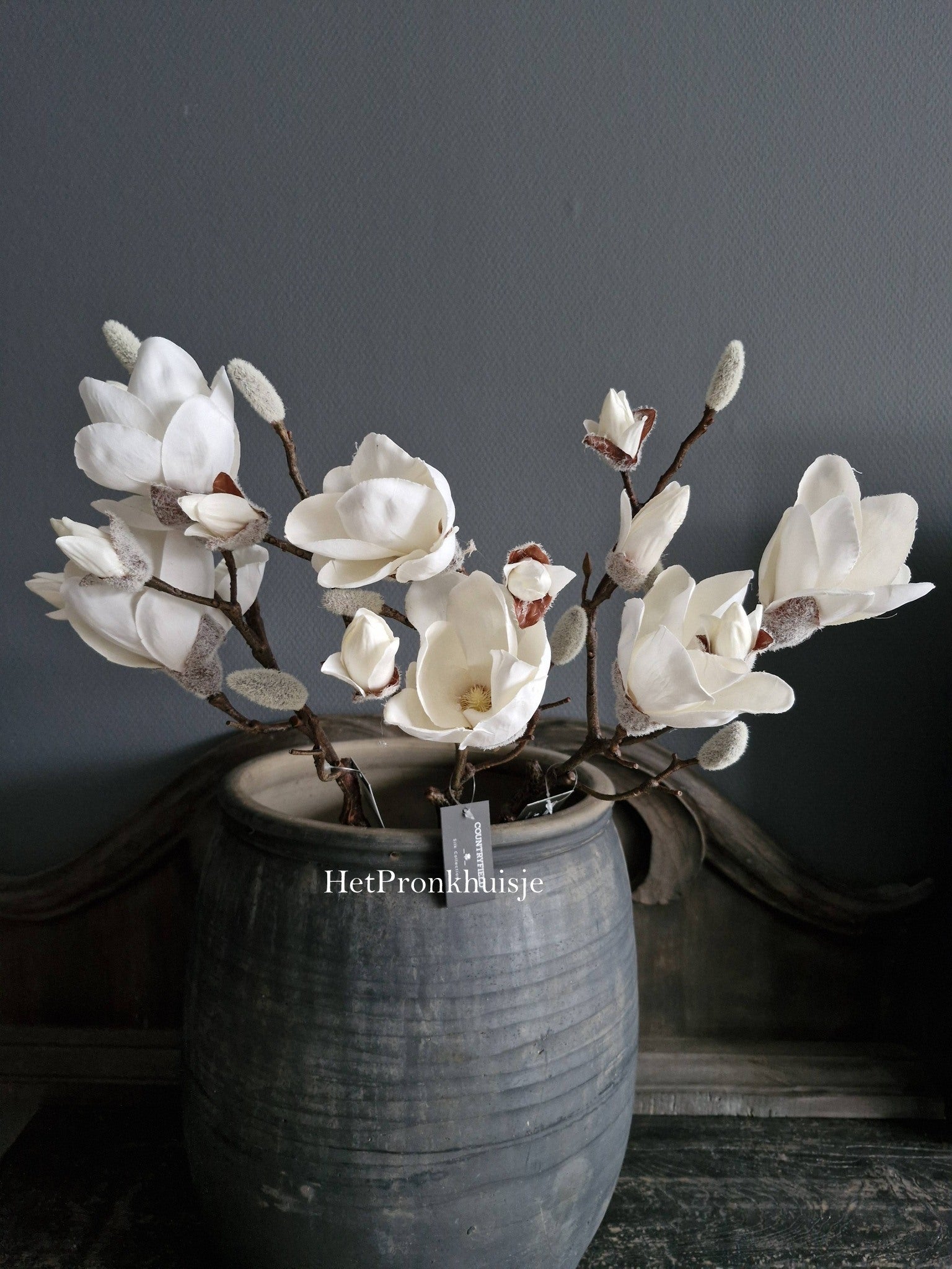 Magnolia tak. Wit
