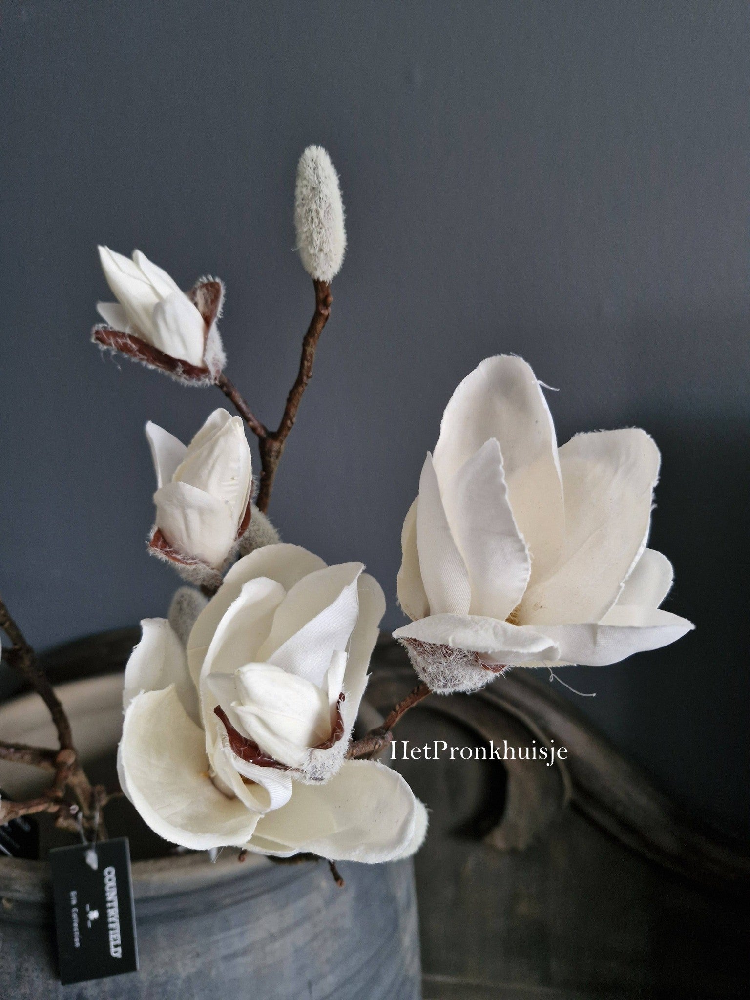 Magnolia tak. Wit