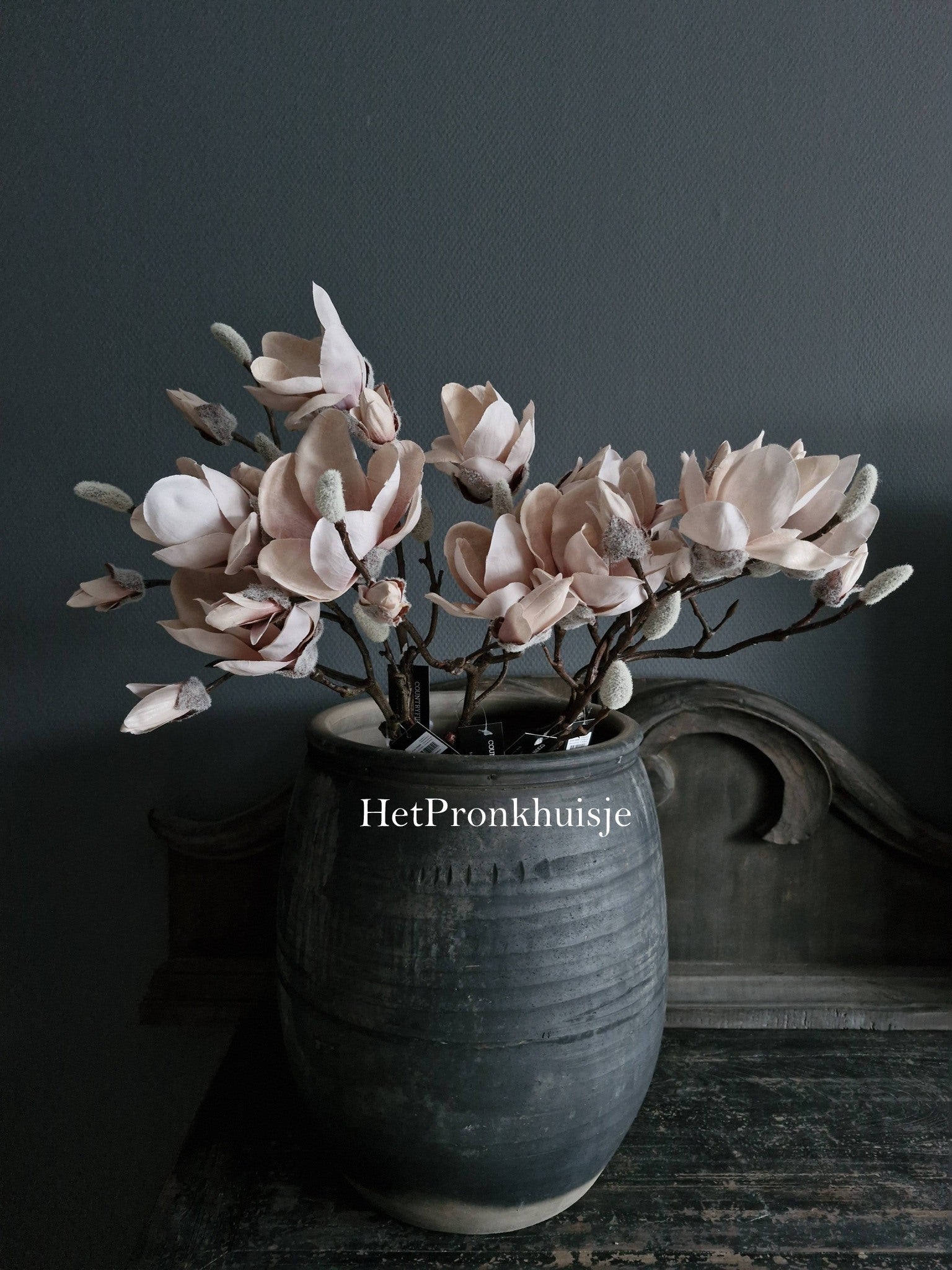 Magnolia tak. Zacht roze