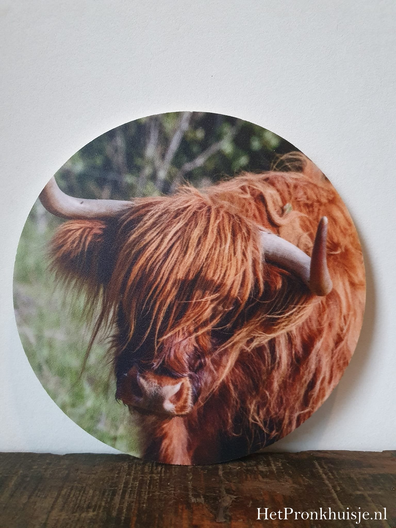 Muurcirkel. Hooglander Nr2.