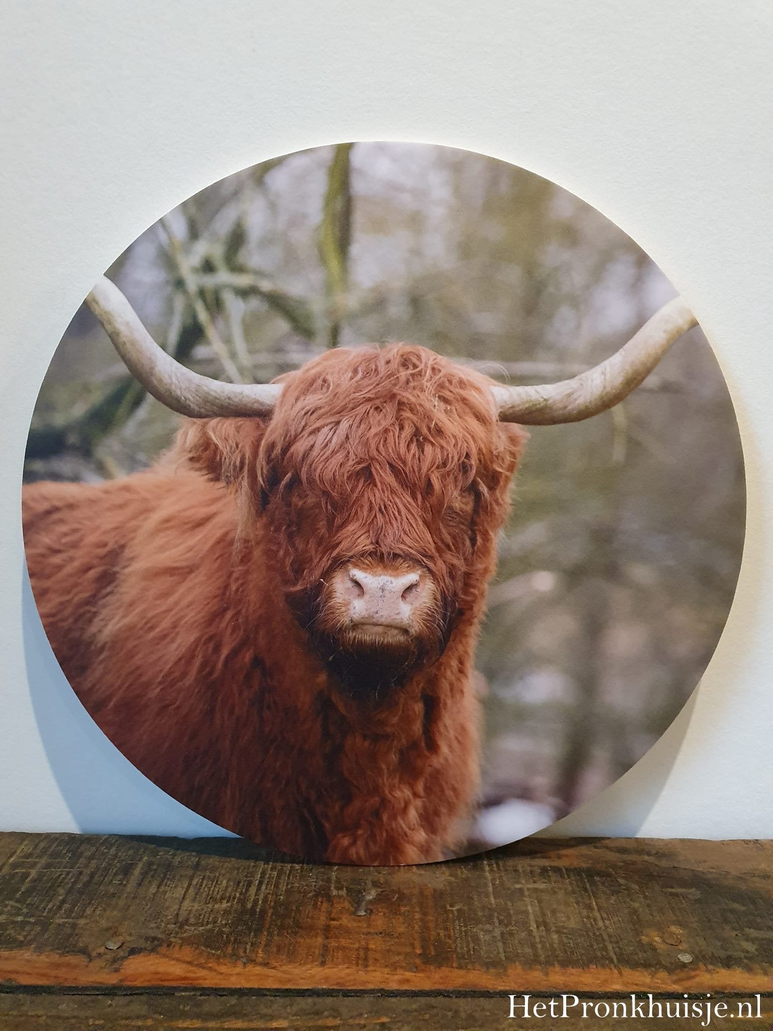 Muurcirkel. Hooglander nr4.