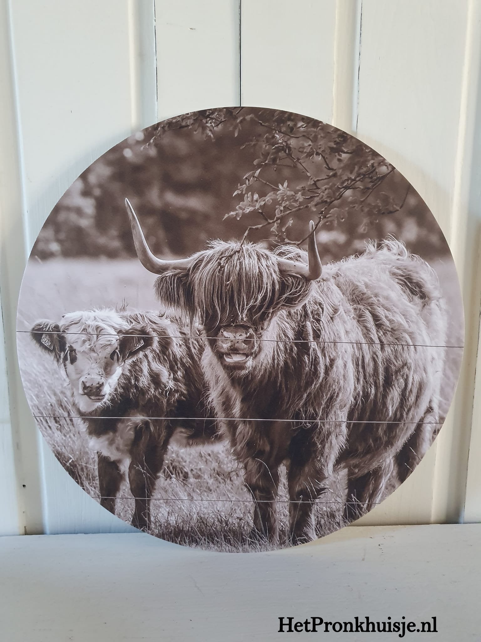 Muurcirkel. Hooglander sepia. Nr4.