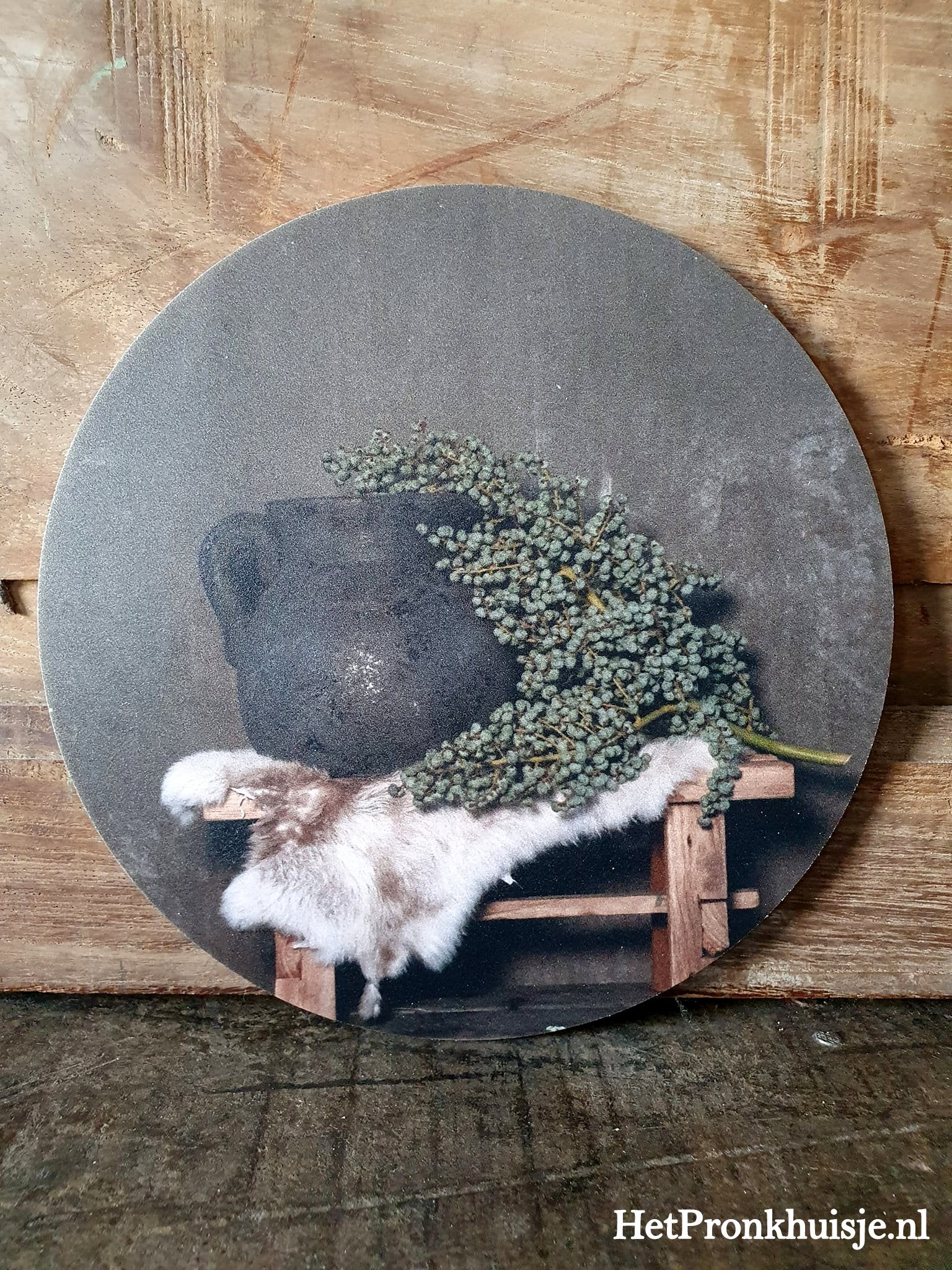 Muurcirkel. Kruk met dadeltak.