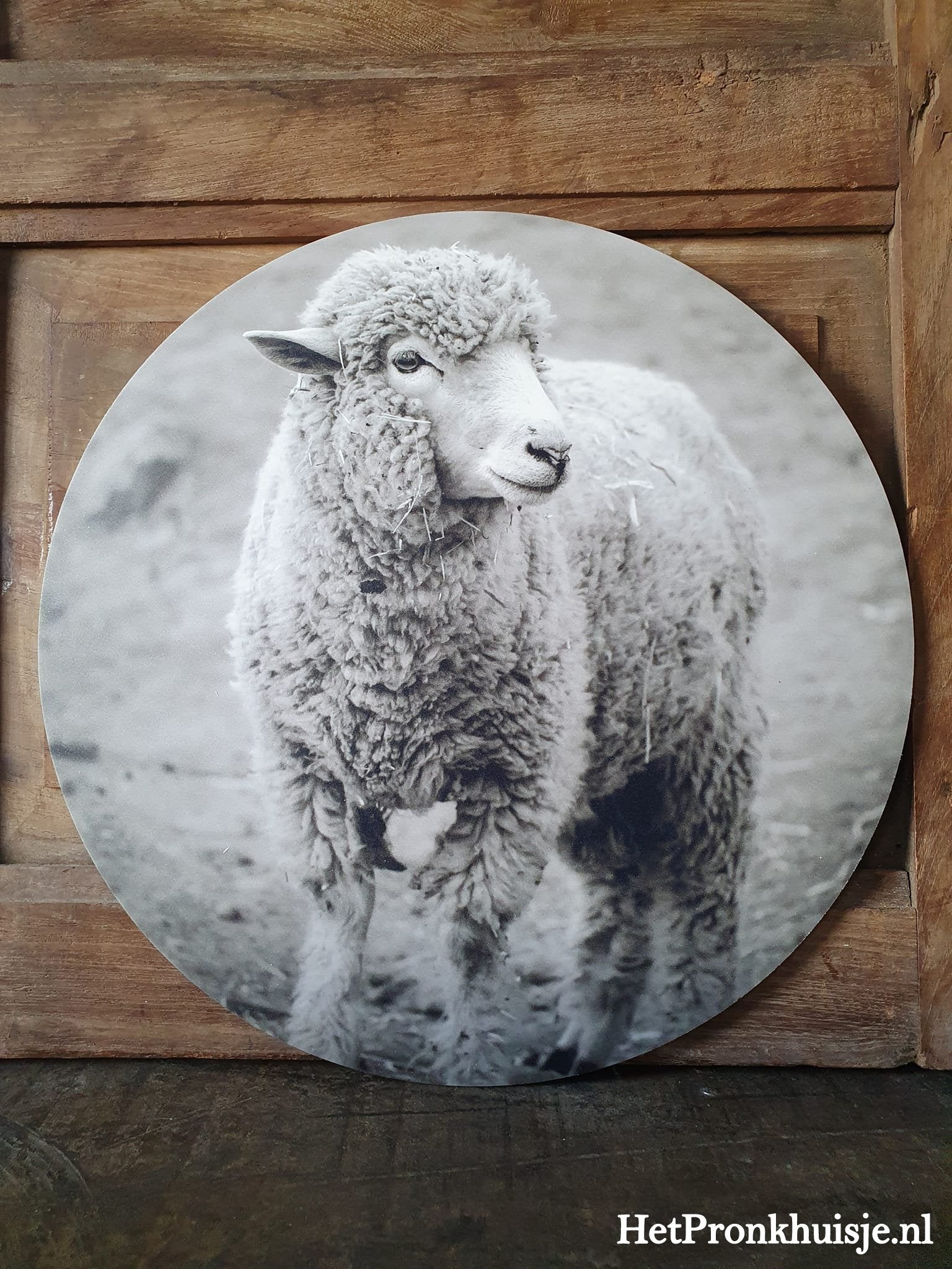 Muurcirkel. Schaap. Zwart wit
