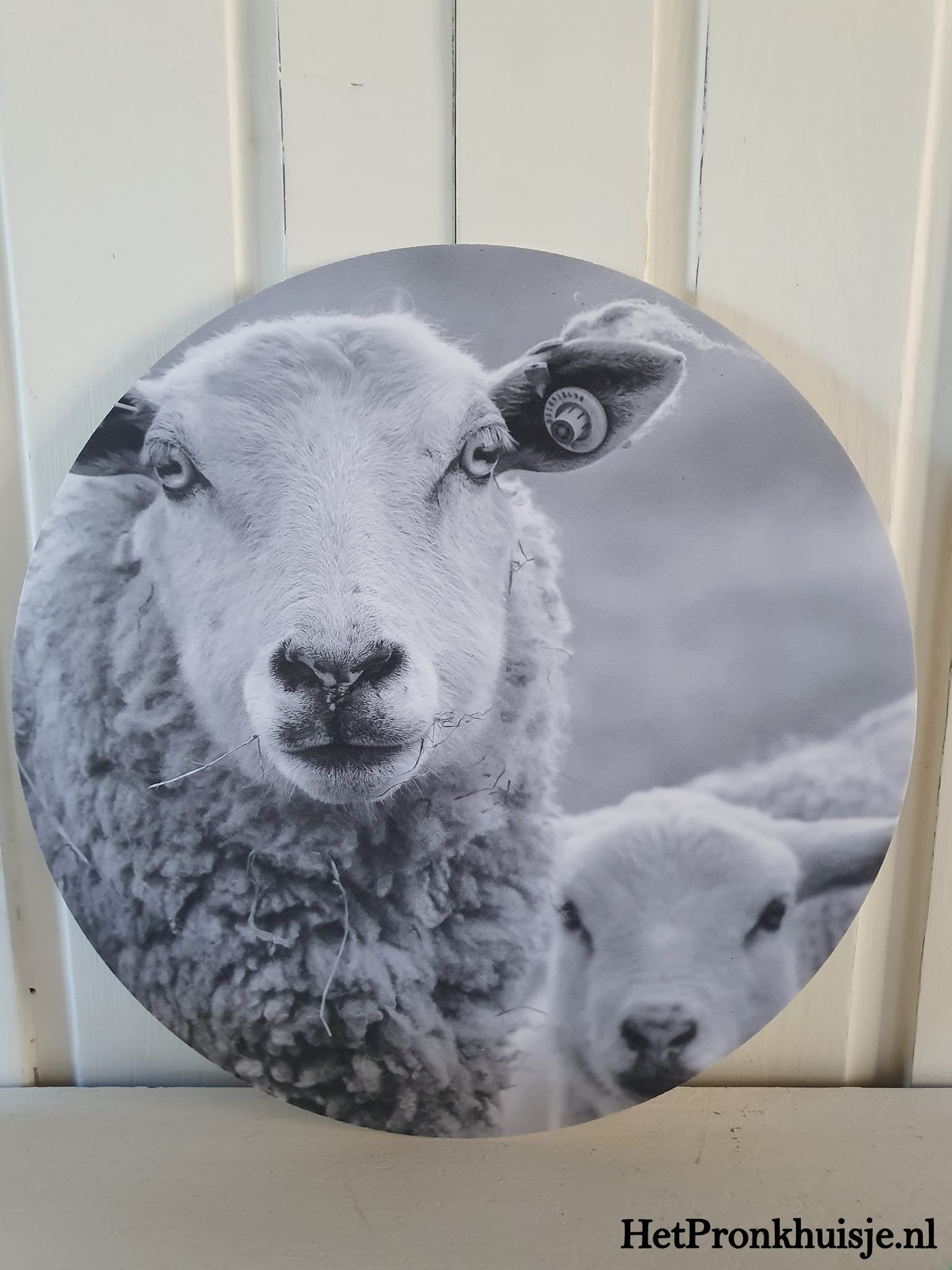 Muurcirkel. Schapen. Zwart wit