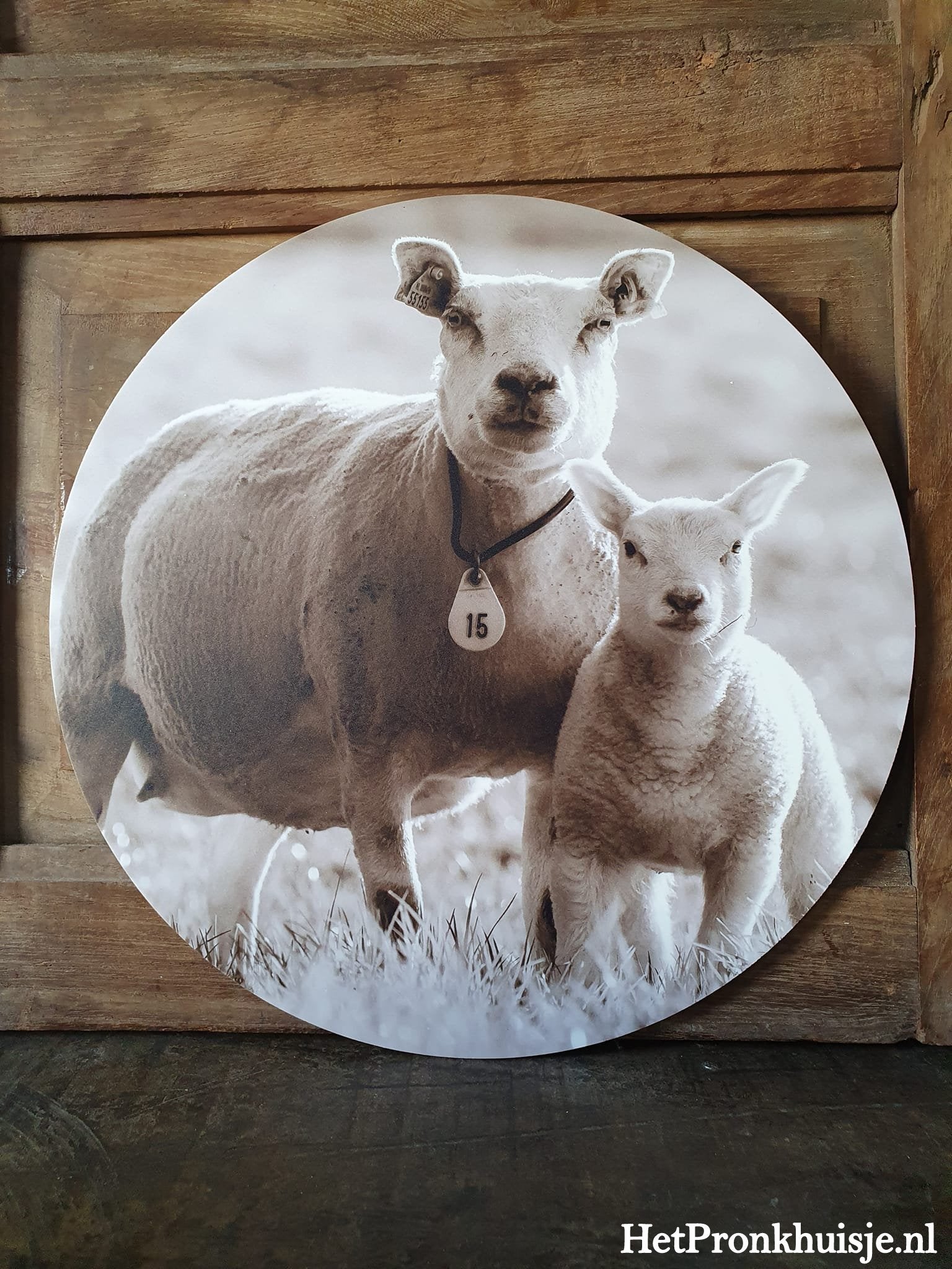 Muurcirkel. Schapen. Sepia