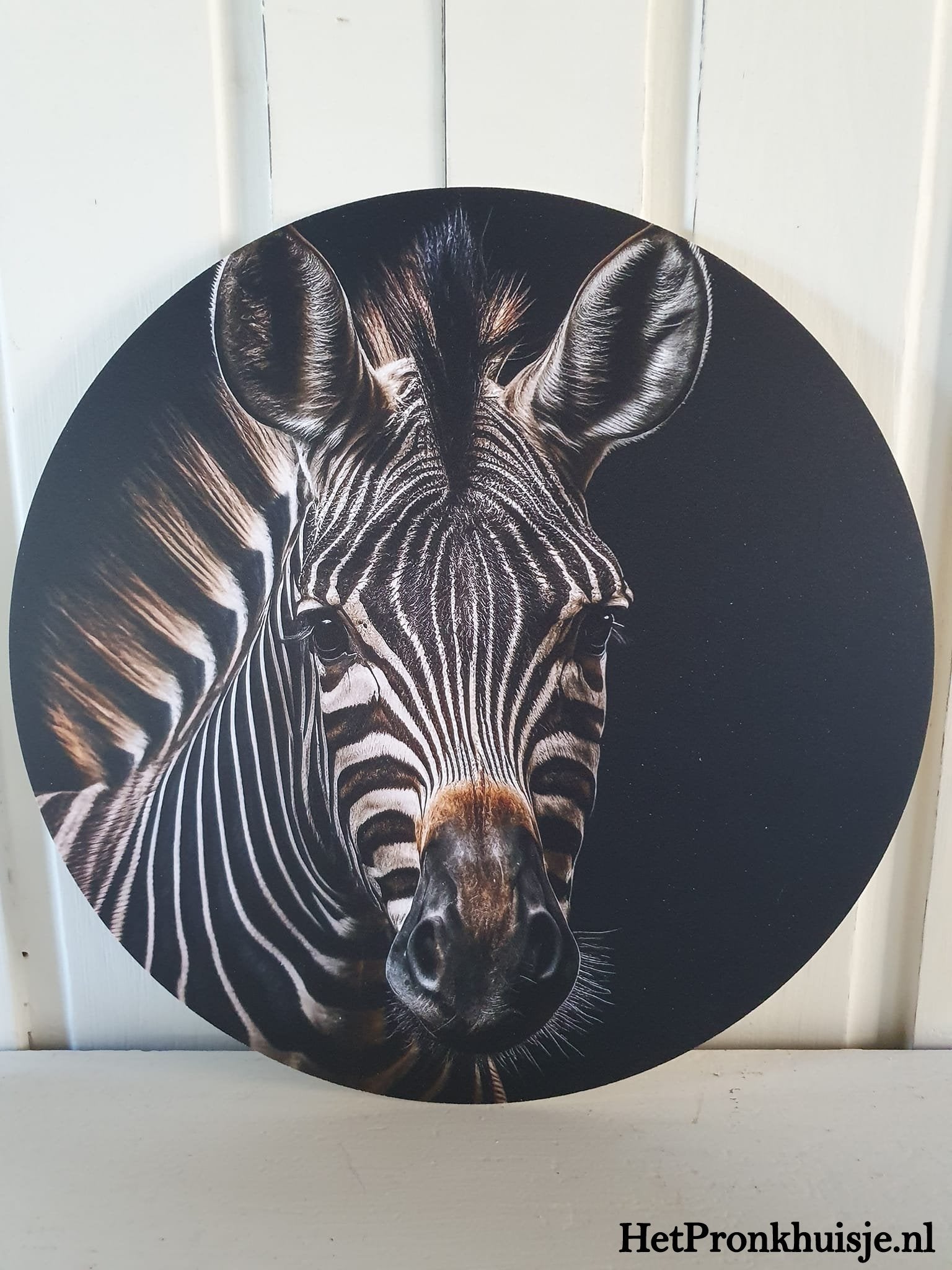 Muurcirkel. Zebra.