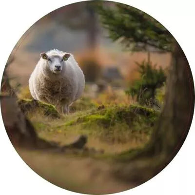 Pannenonderzetter. 36