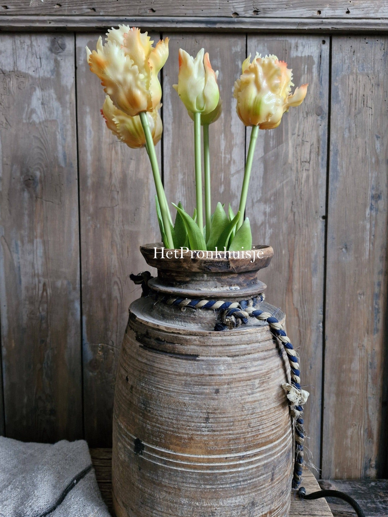 Papagaai tulpen. 5 stelen