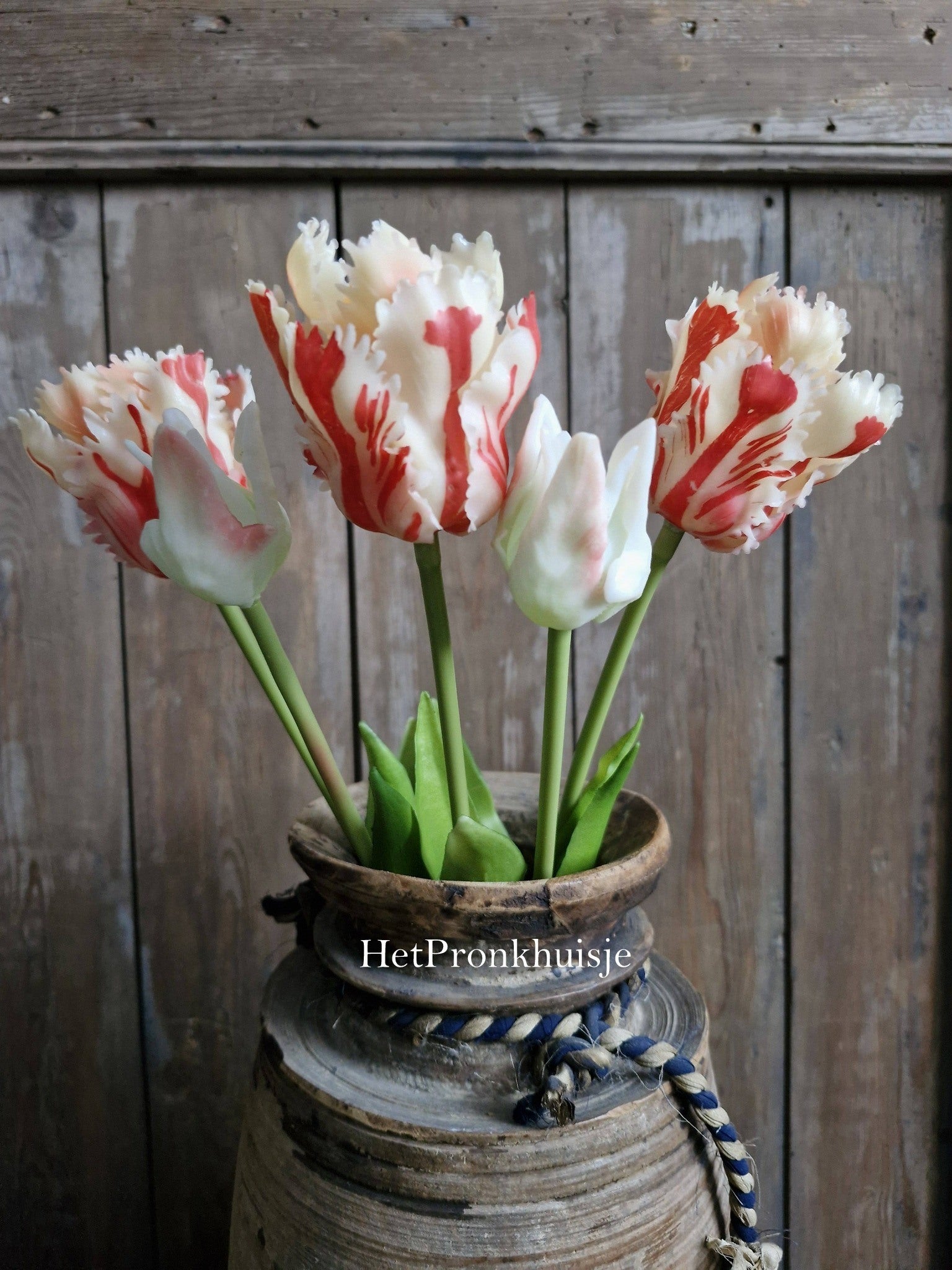 Papagaai tulpen. Rood. 5 stelen