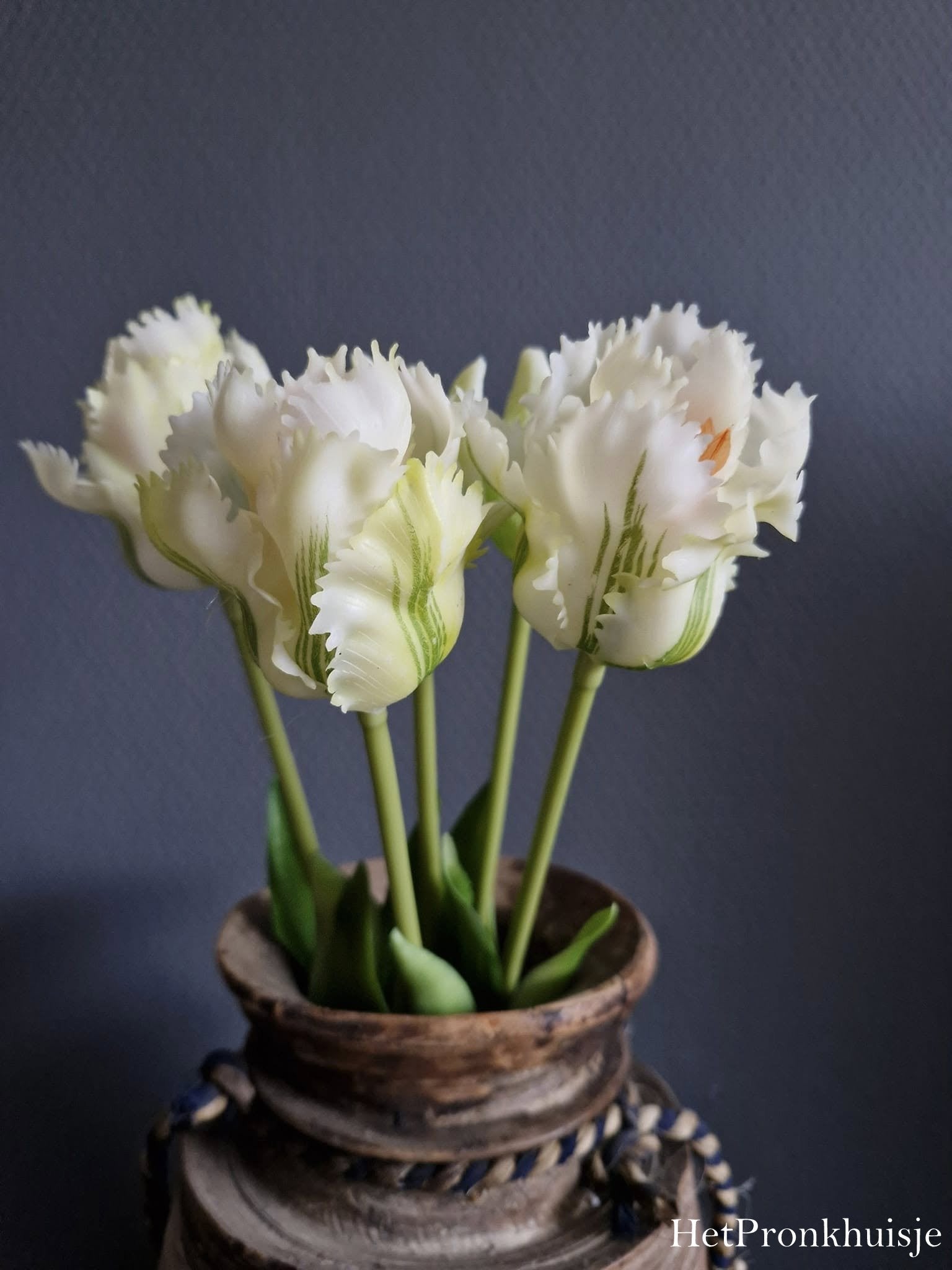 Papagaai tulpen. Wit groen. Bos 5 stelen