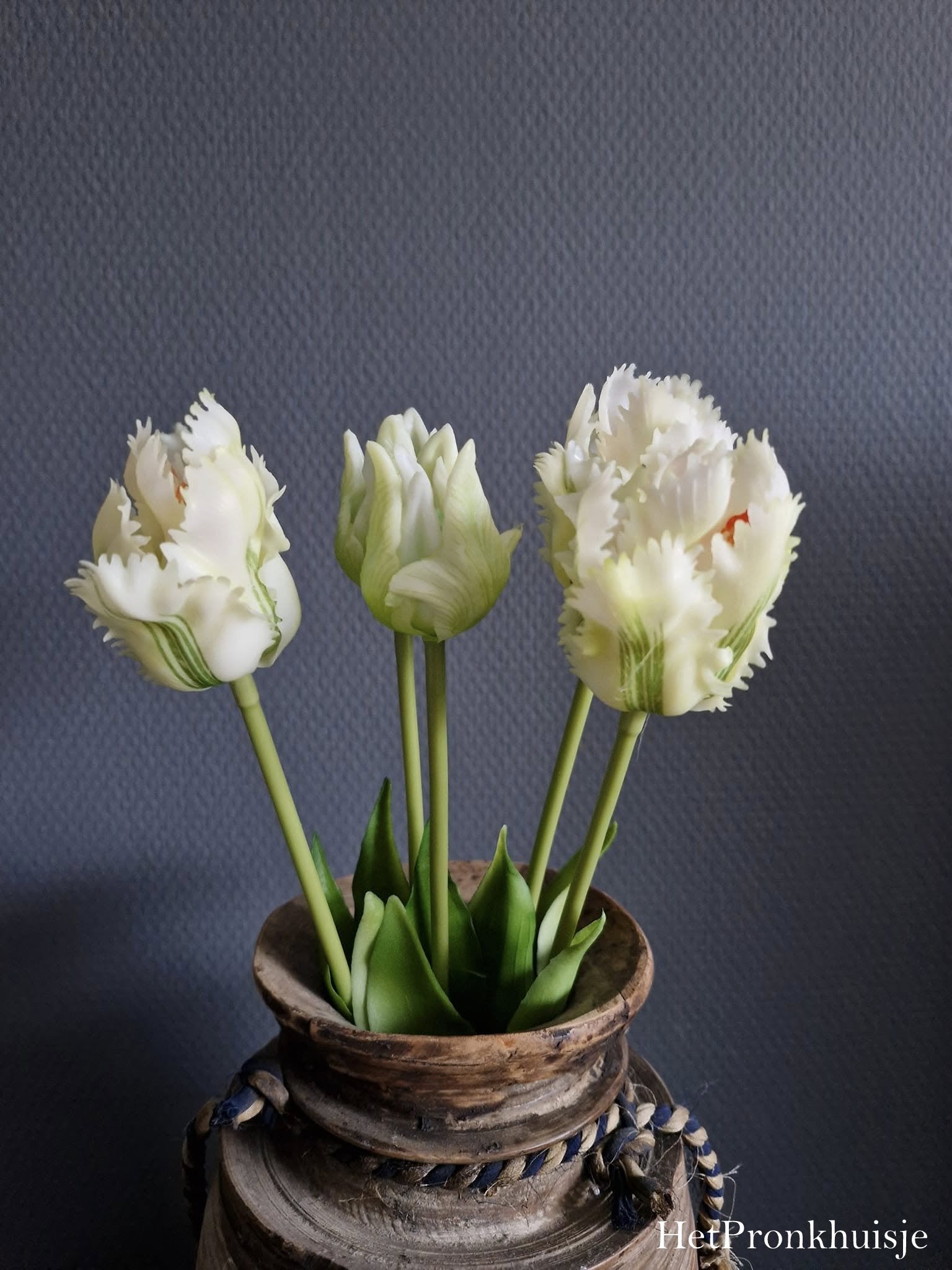 Papagaai tulpen. Wit groen. Bos 5 stelen