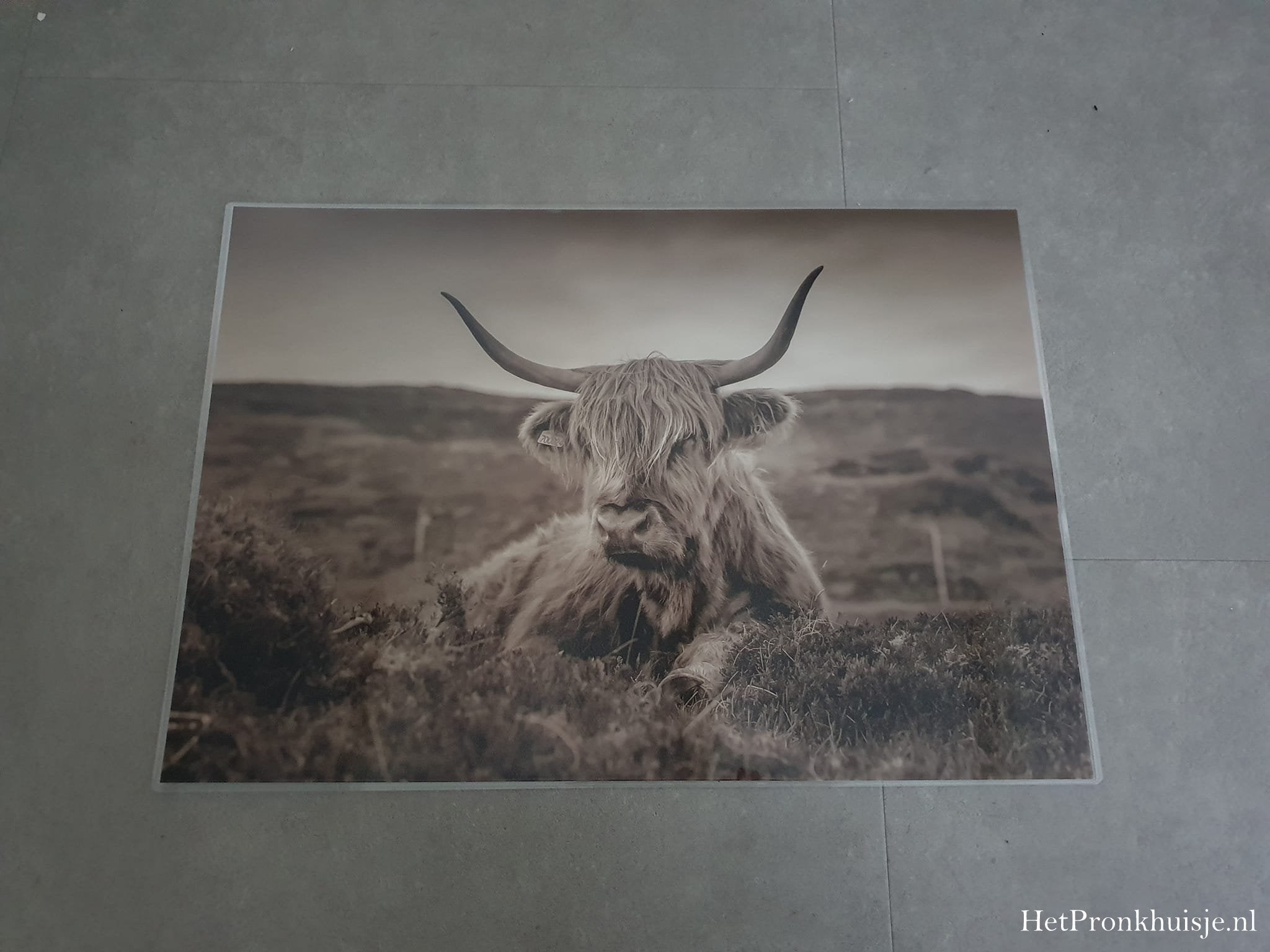 Placemat. Hooglander liggend