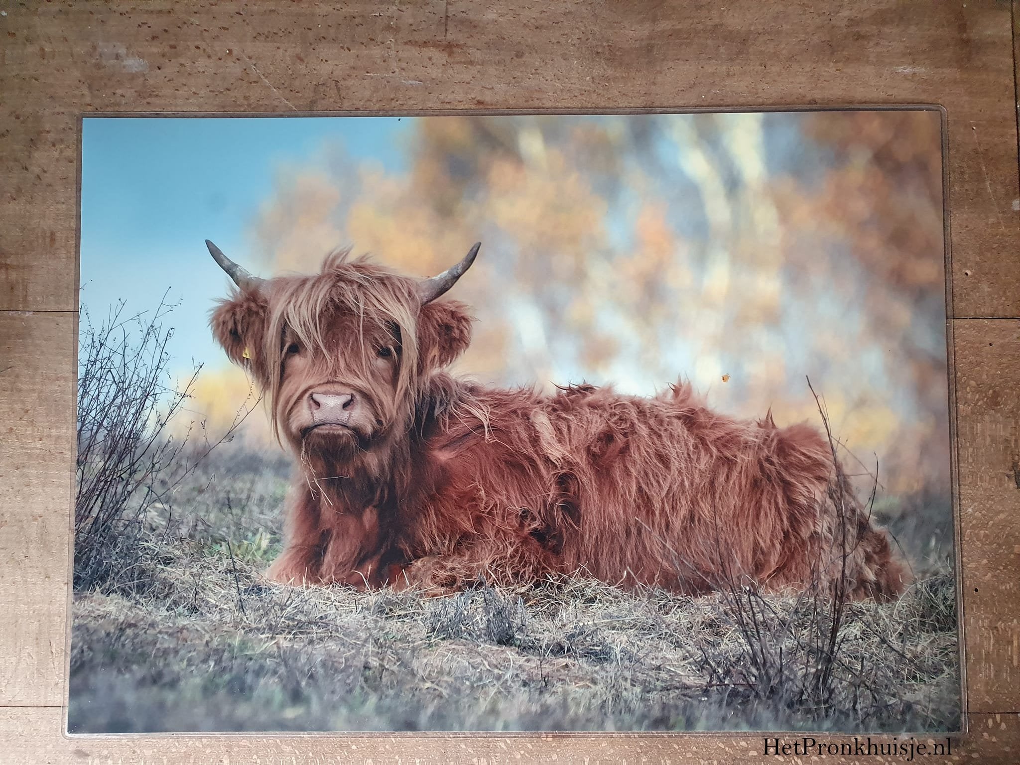 Placemat. Hooglander liggend