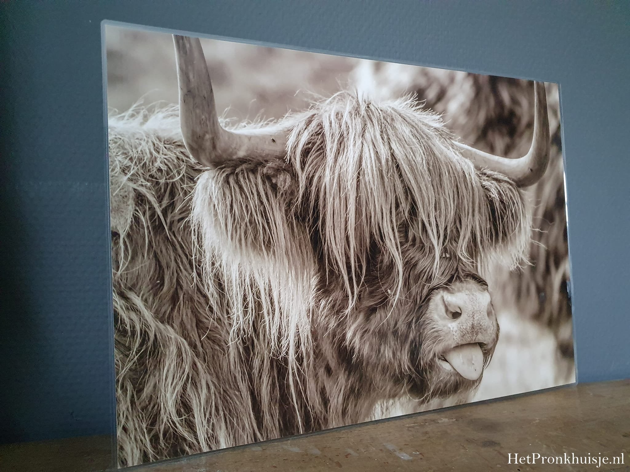Placemat. Hooglander met tong